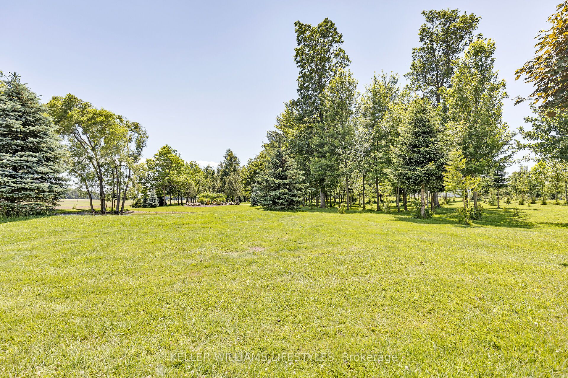 32420 Silver Clay Line Property Photo 38