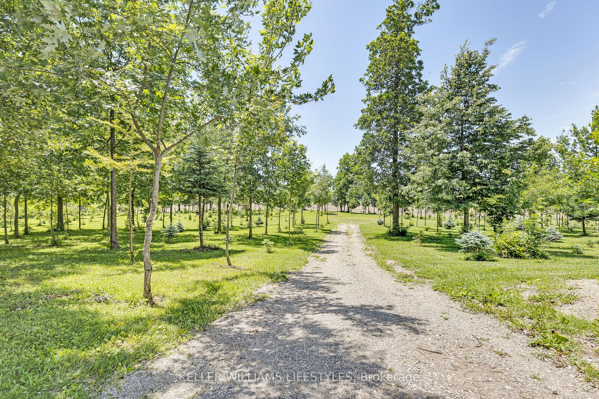 32420 Silver Clay Line Property Photo 40