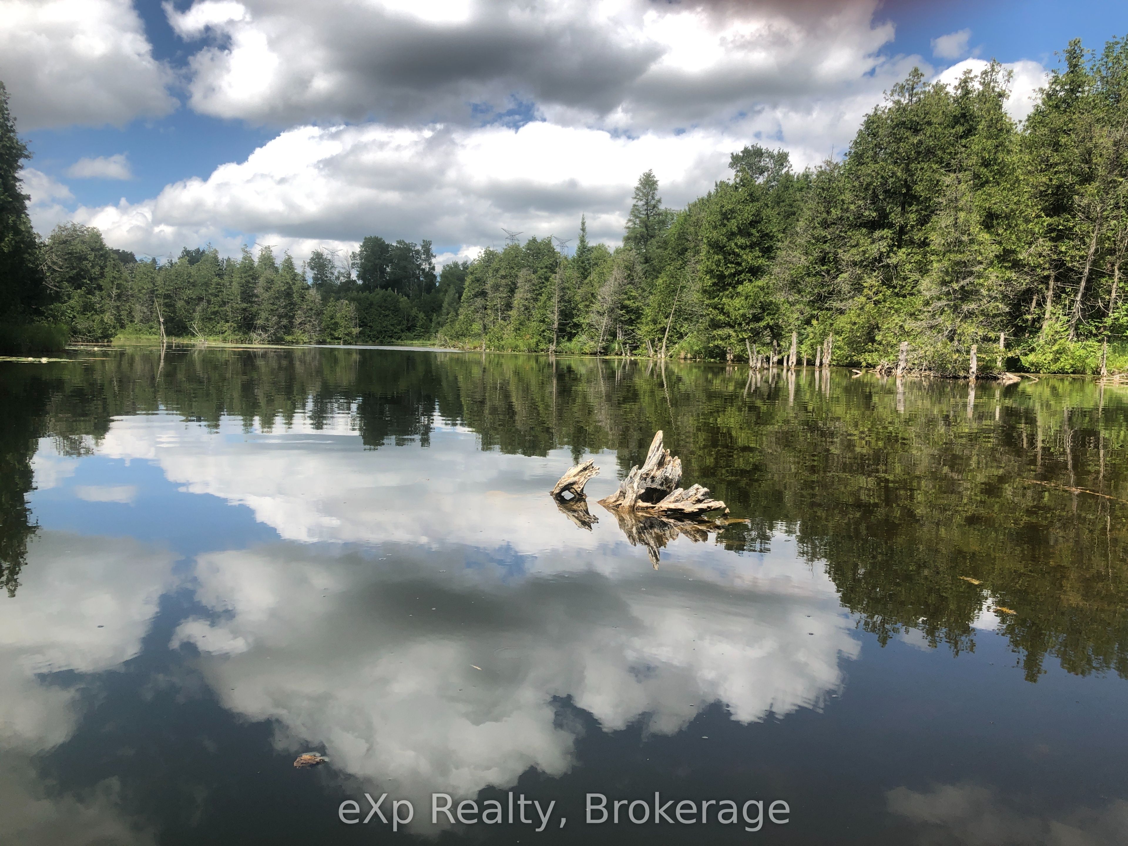 182 Lake Rosalind Road 1 N/a Property Photo 42