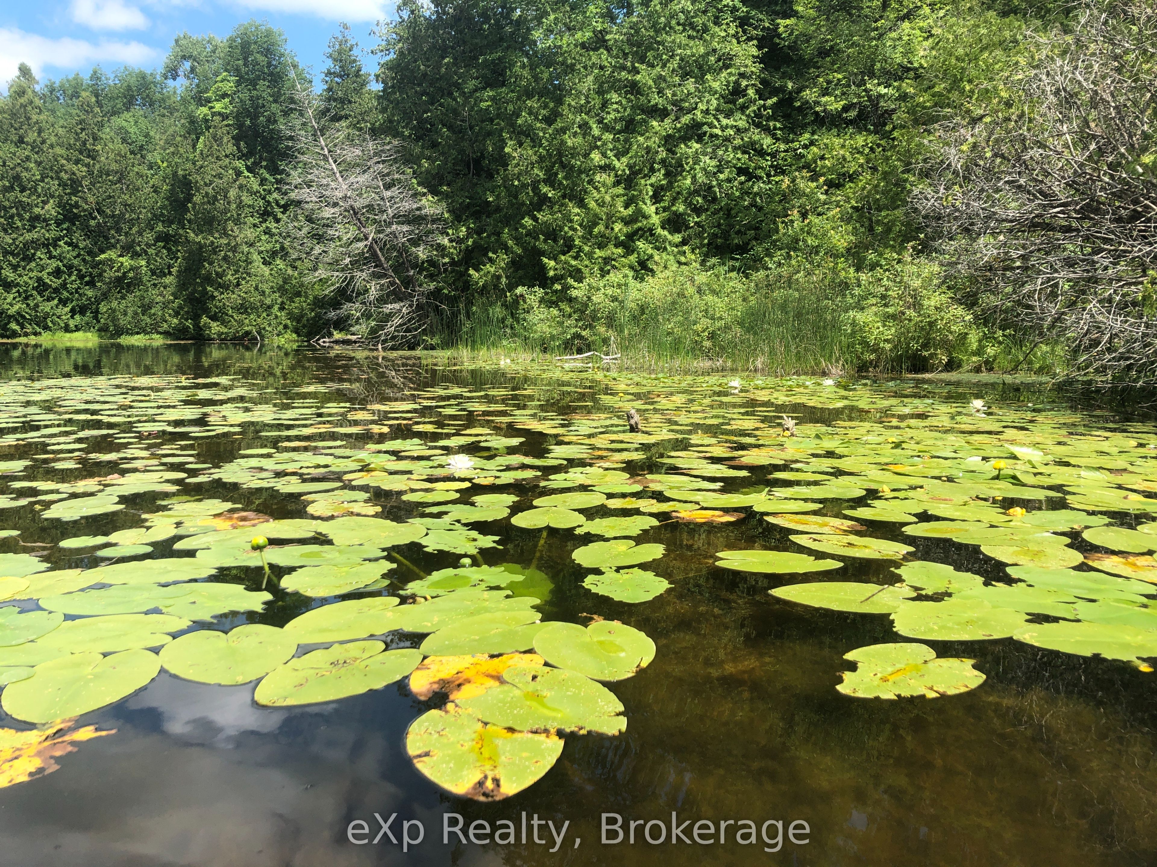 182 Lake Rosalind Road 1 N/a Property Photo 43