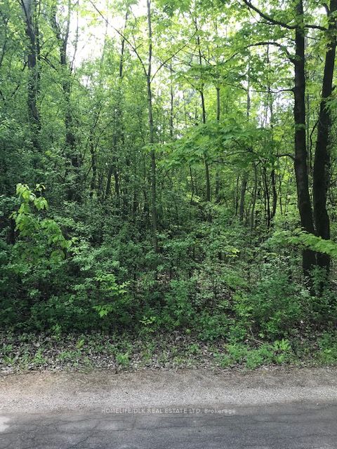 0 Graham Lake Road Property Photo