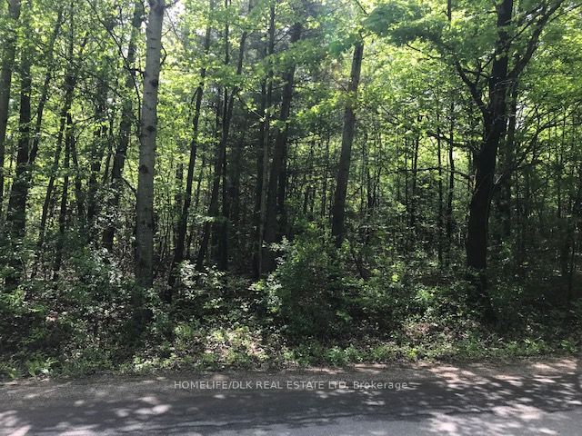 001 Graham Lake Road Property Photo