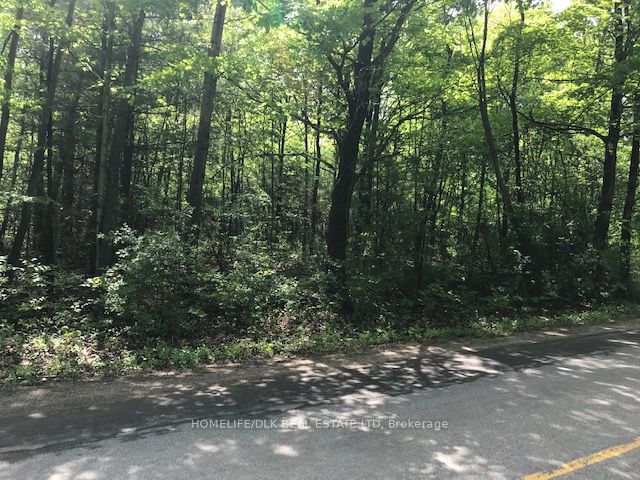001 Graham Lake Road Property Photo 5