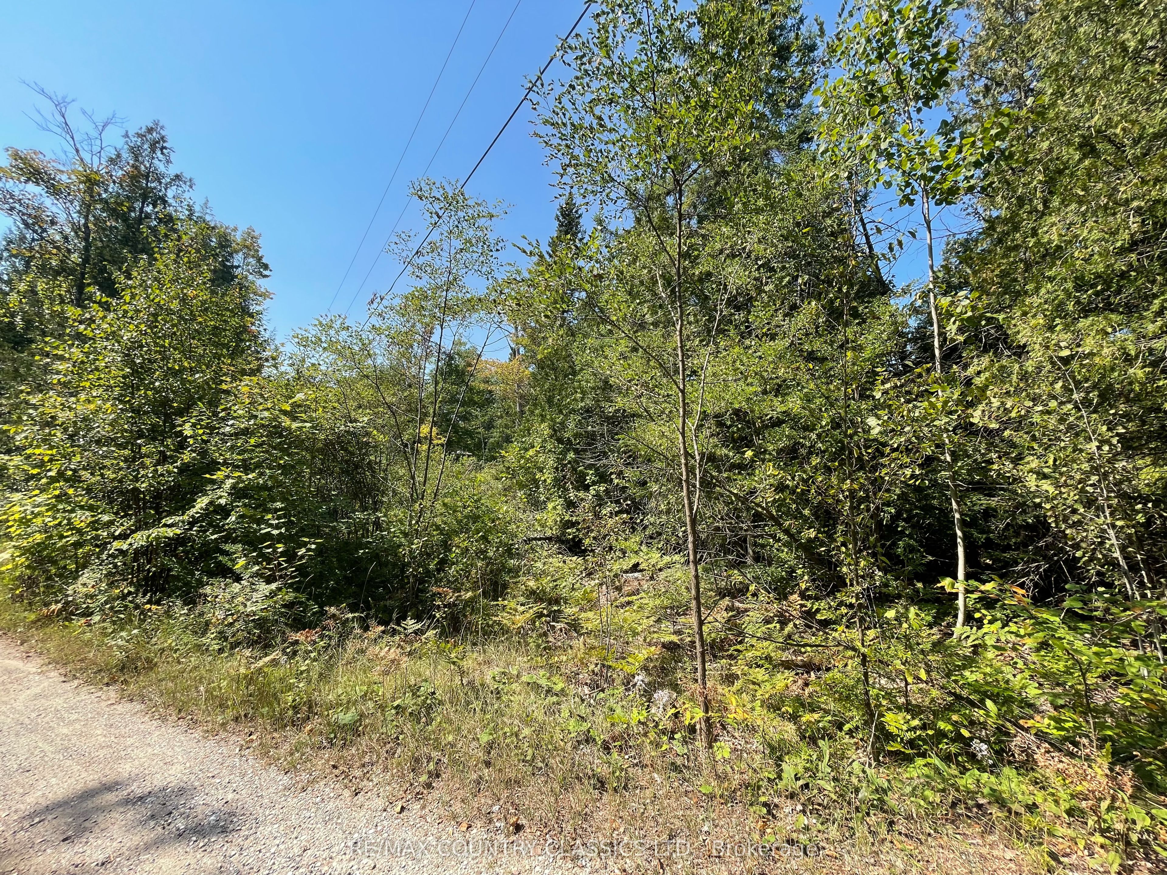 0 Park Lane Property Photo 7