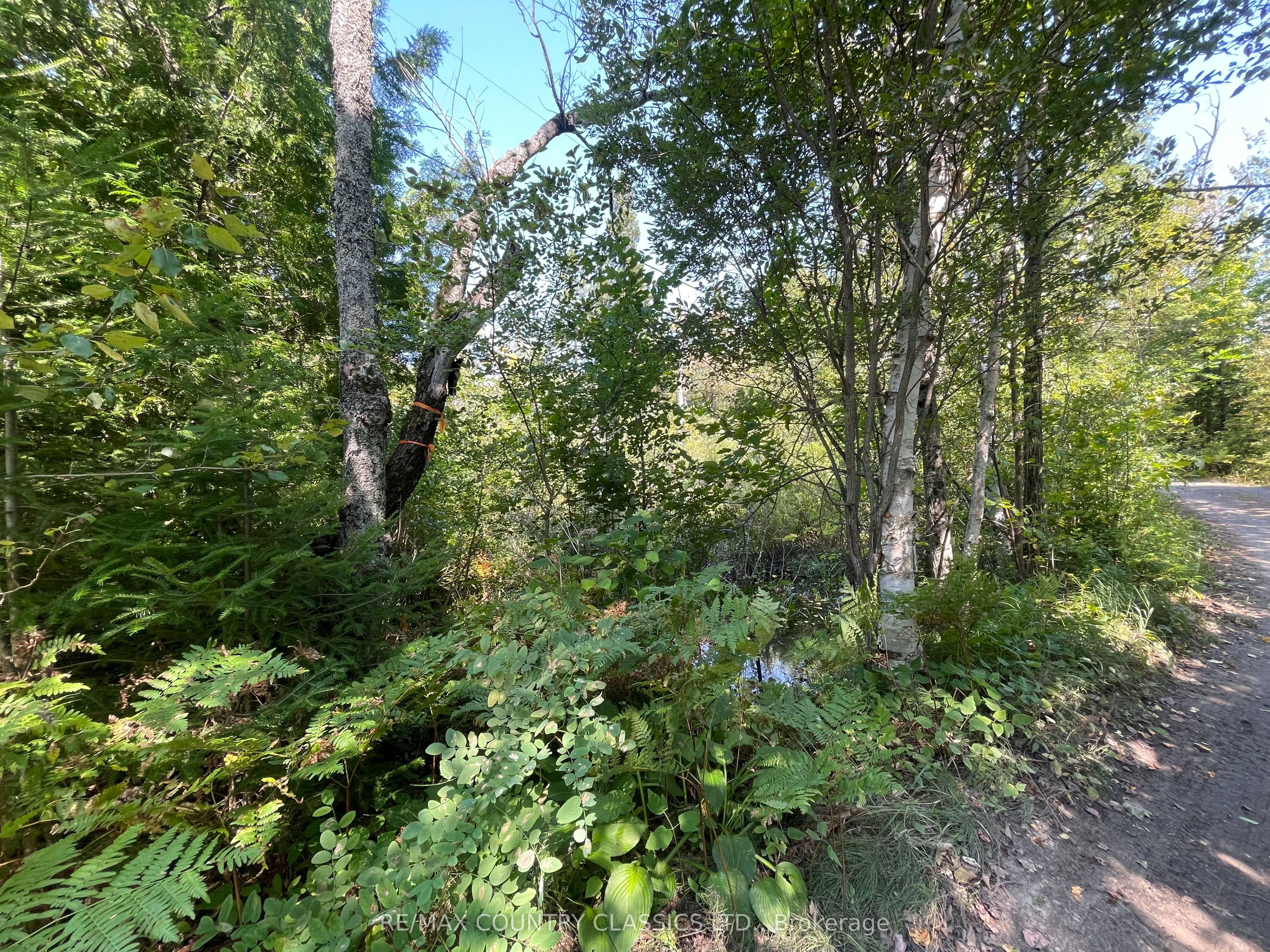 0 Park Lane Property Photo 8