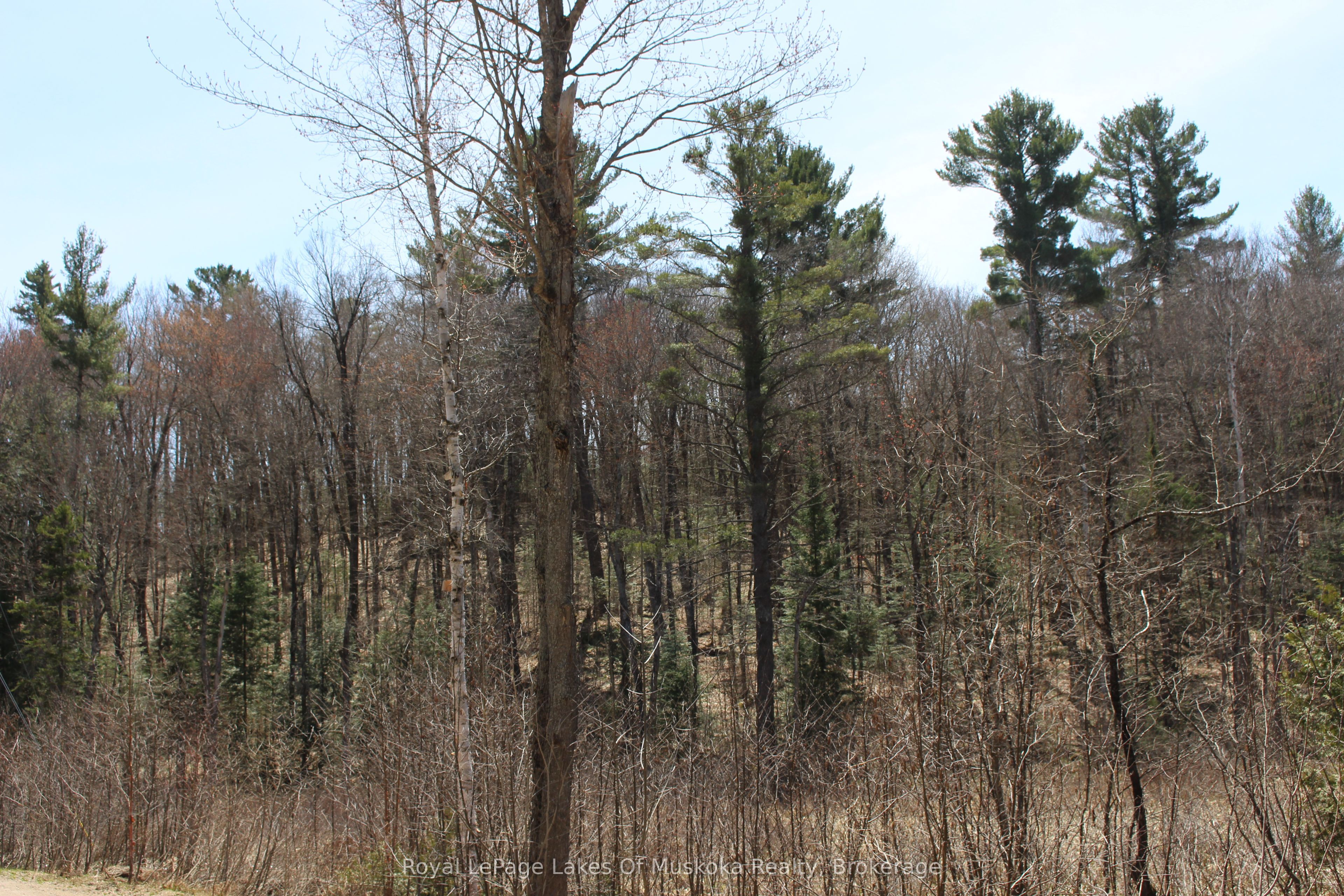 0000 South Ril Lake Road Property Photo 2
