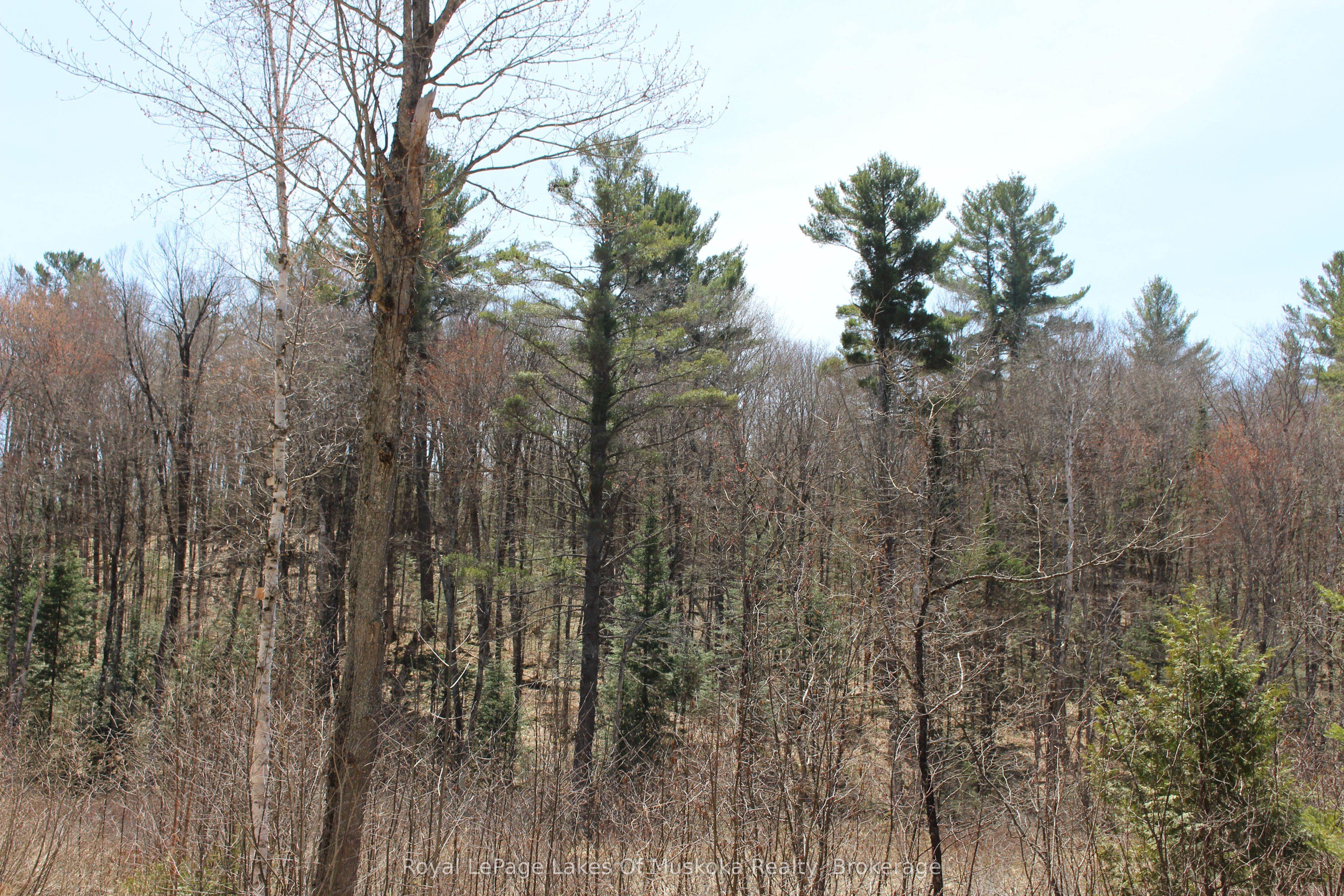 0000 South Ril Lake Road Property Photo 3