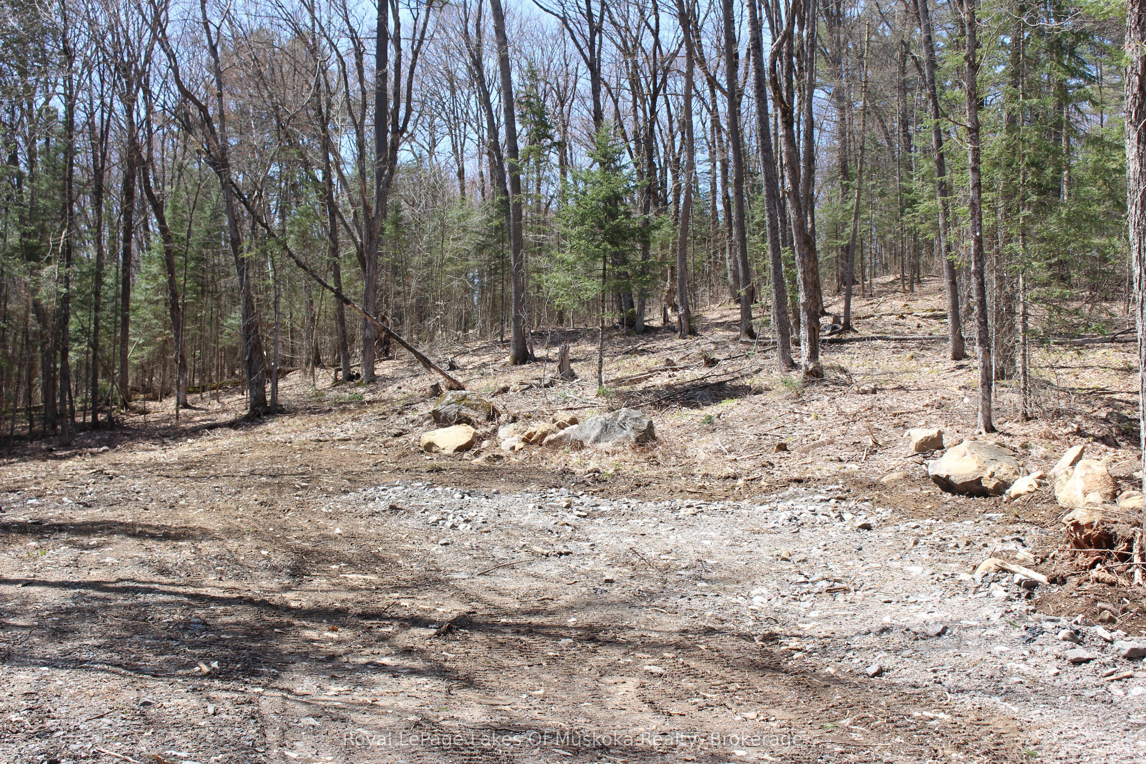 0000 South Ril Lake Road Property Photo 4