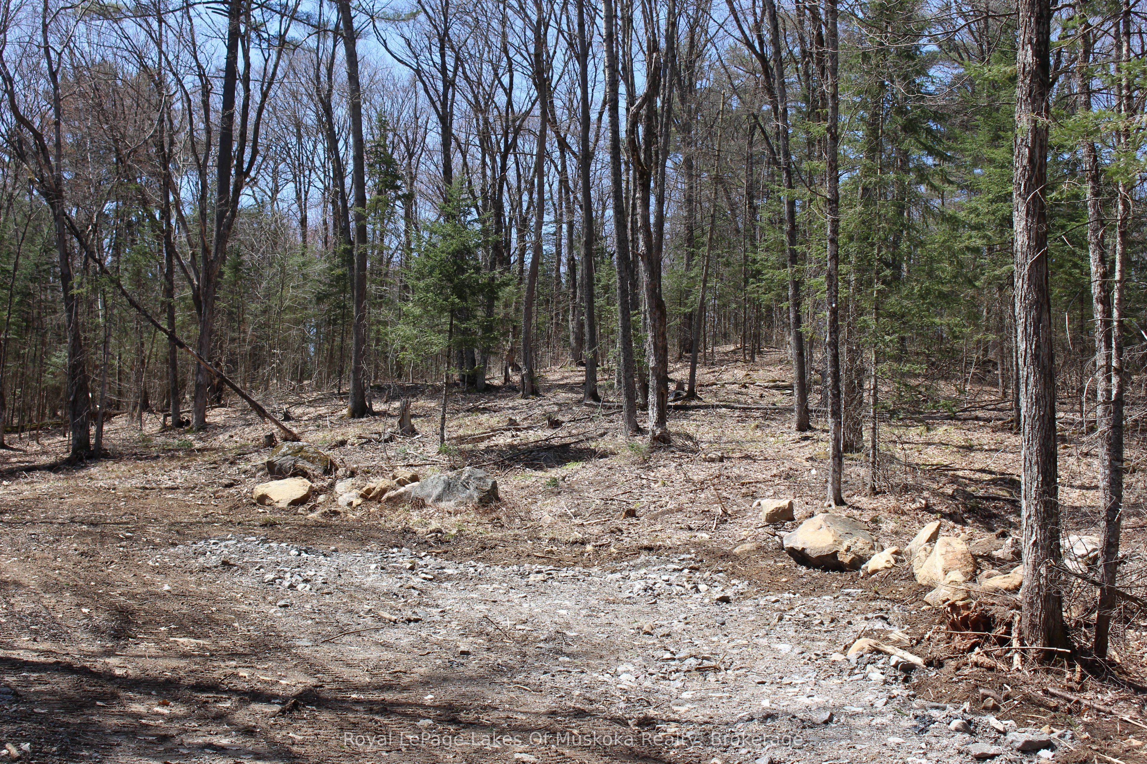 0000 South Ril Lake Road Property Photo 5