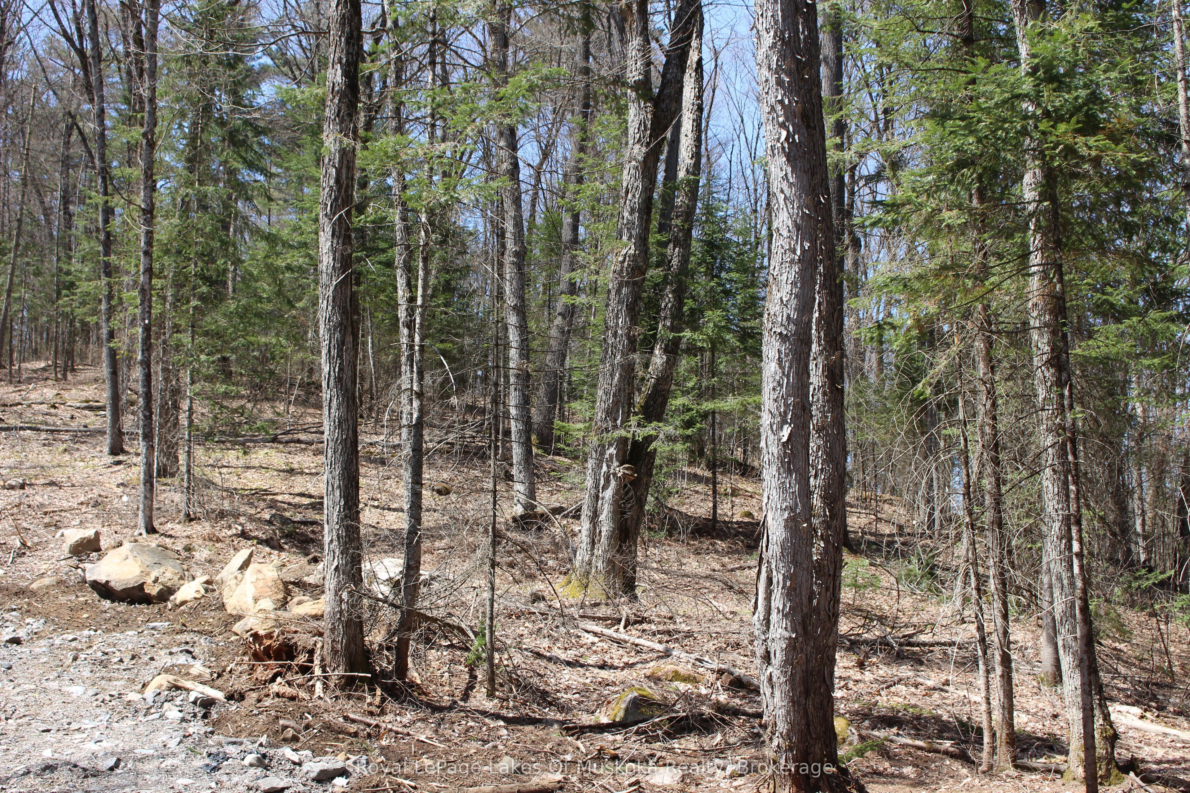 0000 South Ril Lake Road Property Photo 6