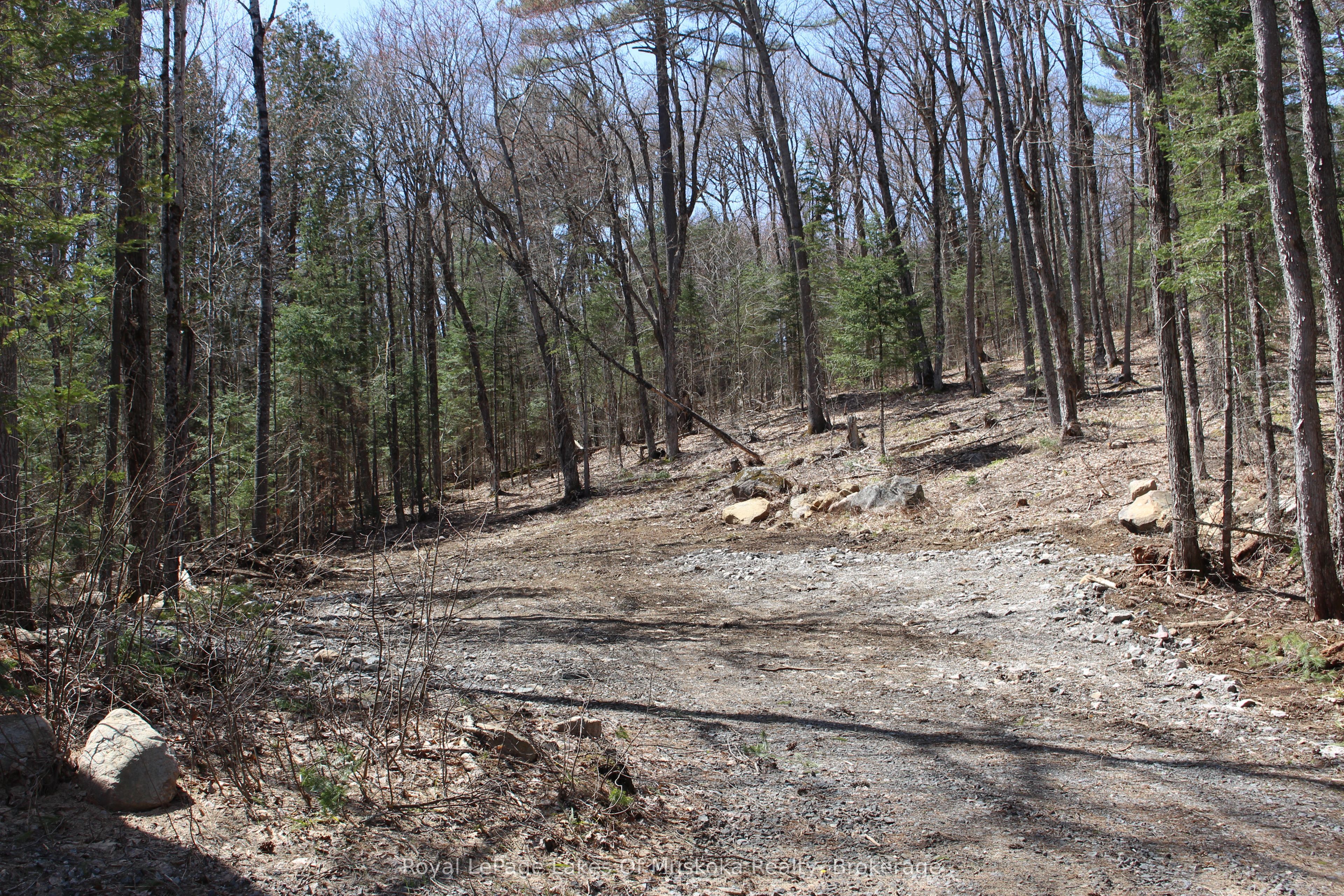 0000 South Ril Lake Road Property Photo 7