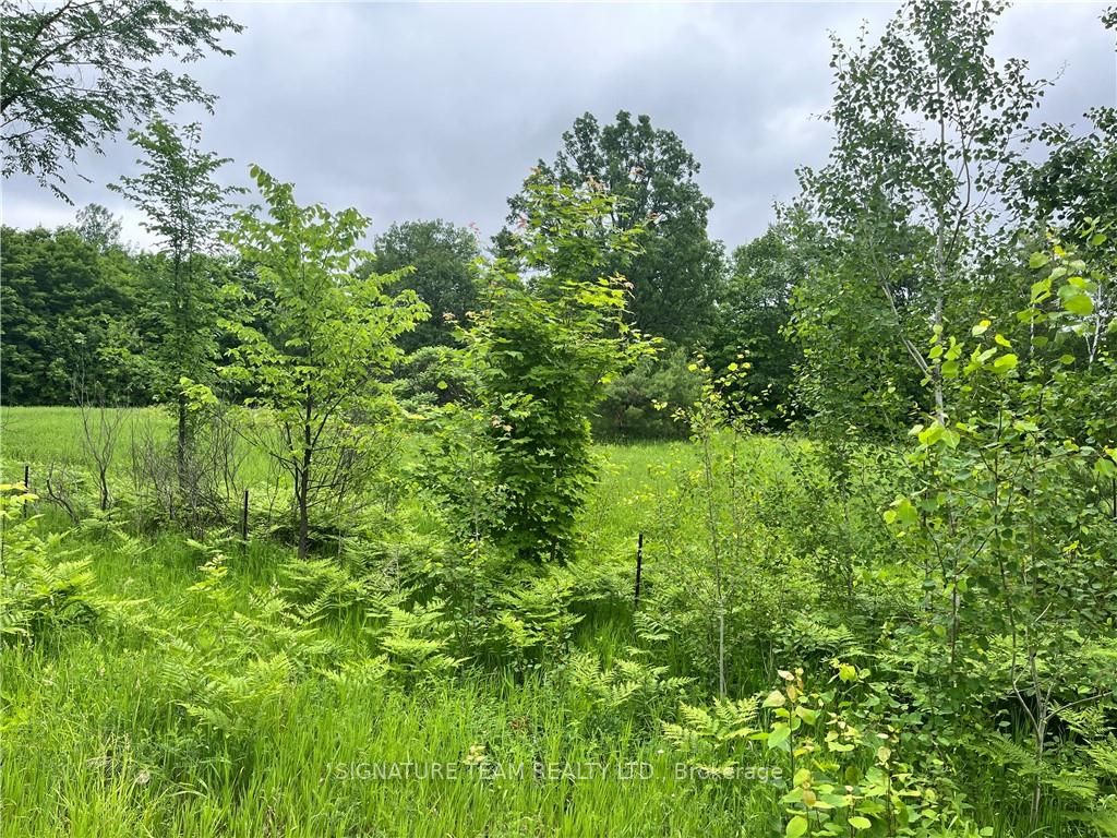 Lot 1 Grants Settlement Road Property Photo 1