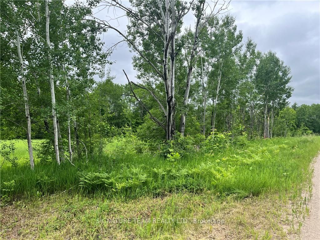 Lot 1 Grants Settlement Road Property Photo 2