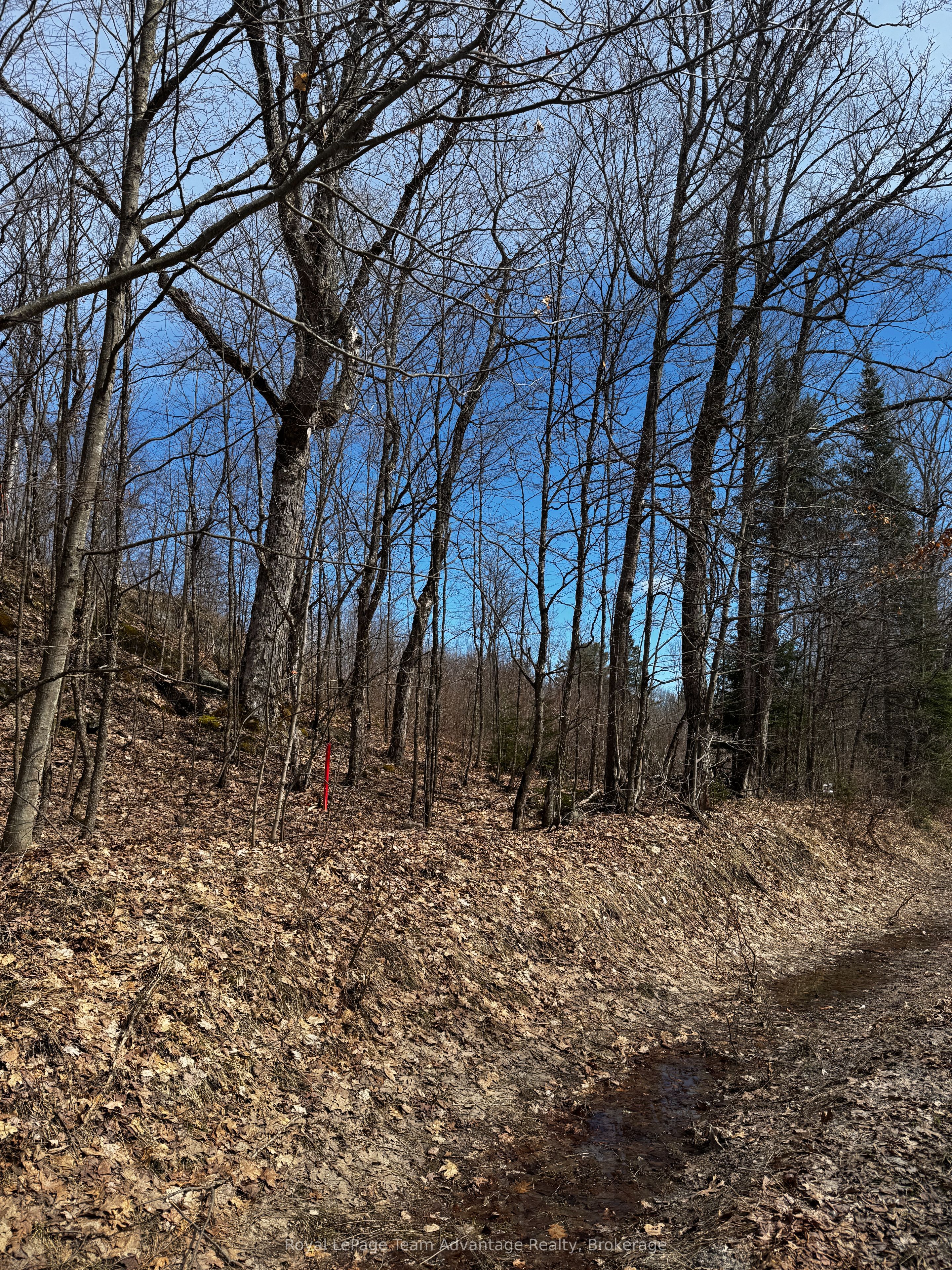Lot 3 Lorimer Lake Road Property Photo 26