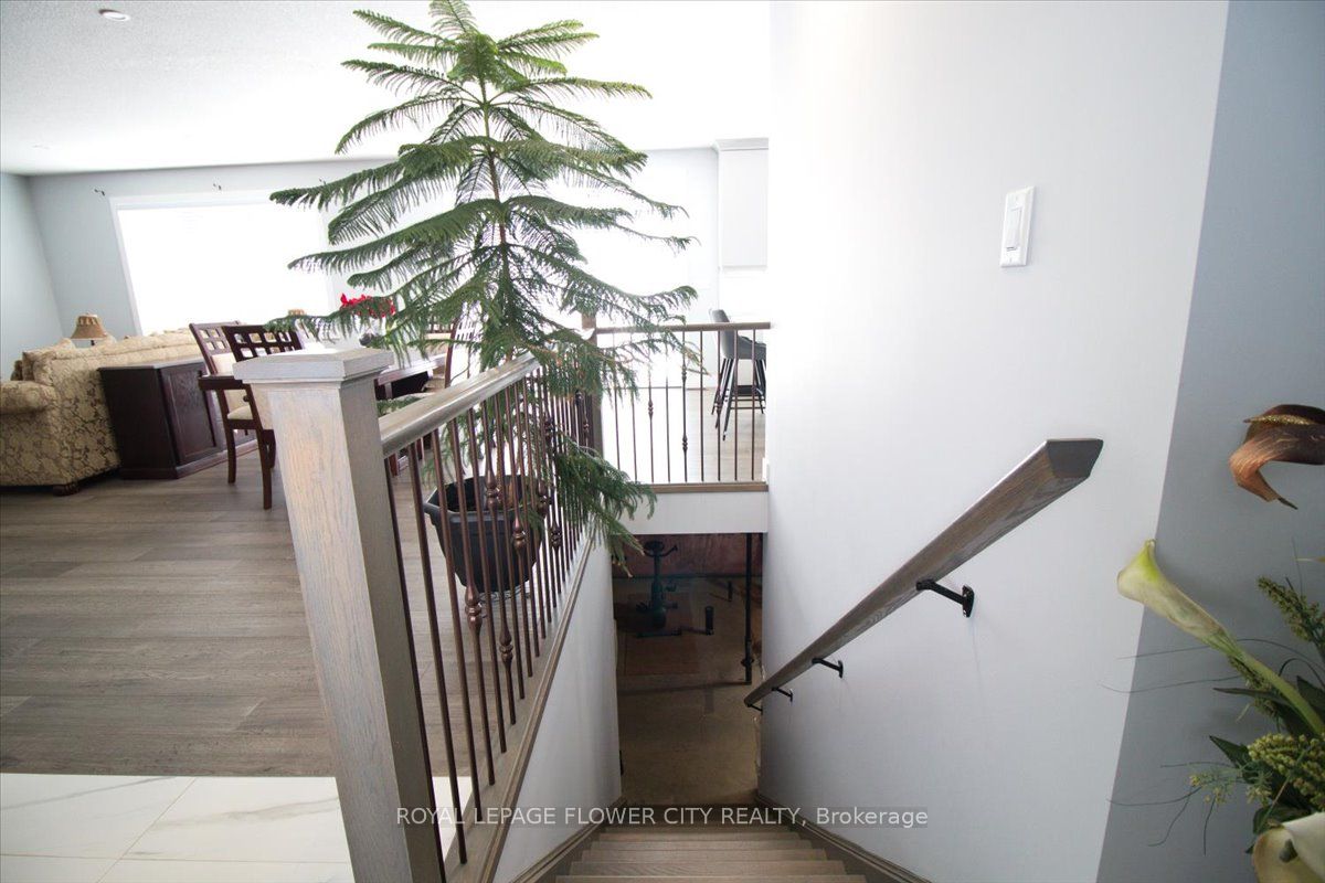 58 Sleepy Meadow Drive Property Photo 35