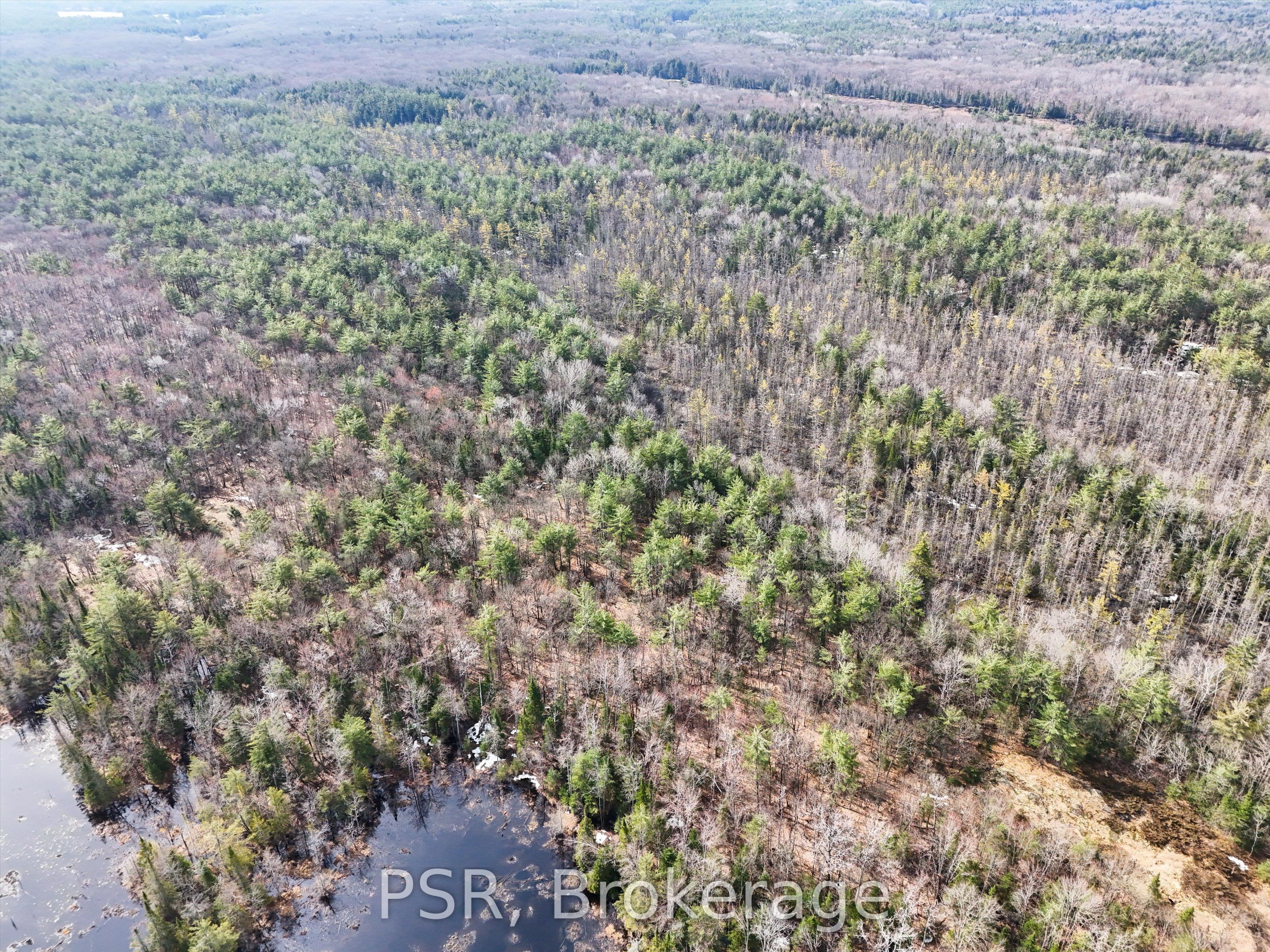 3410 Southwood Road Property Photo 9