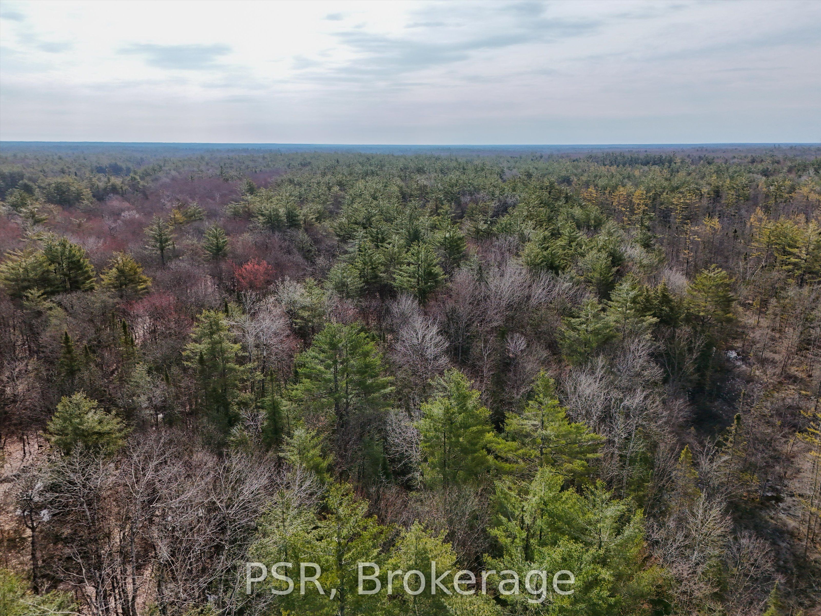 3410 Southwood Road Property Photo 20