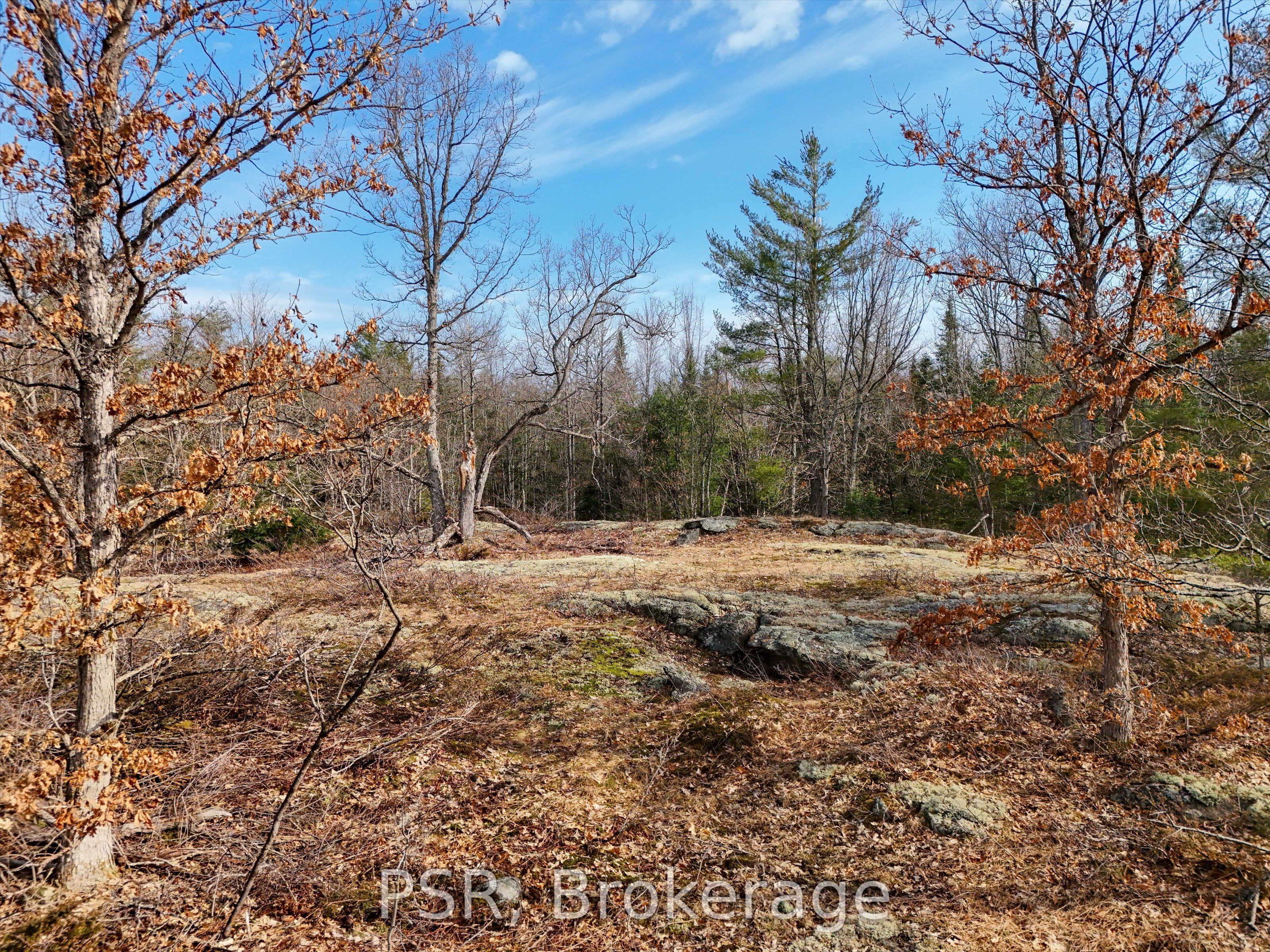 3410 Southwood Road Property Photo 22