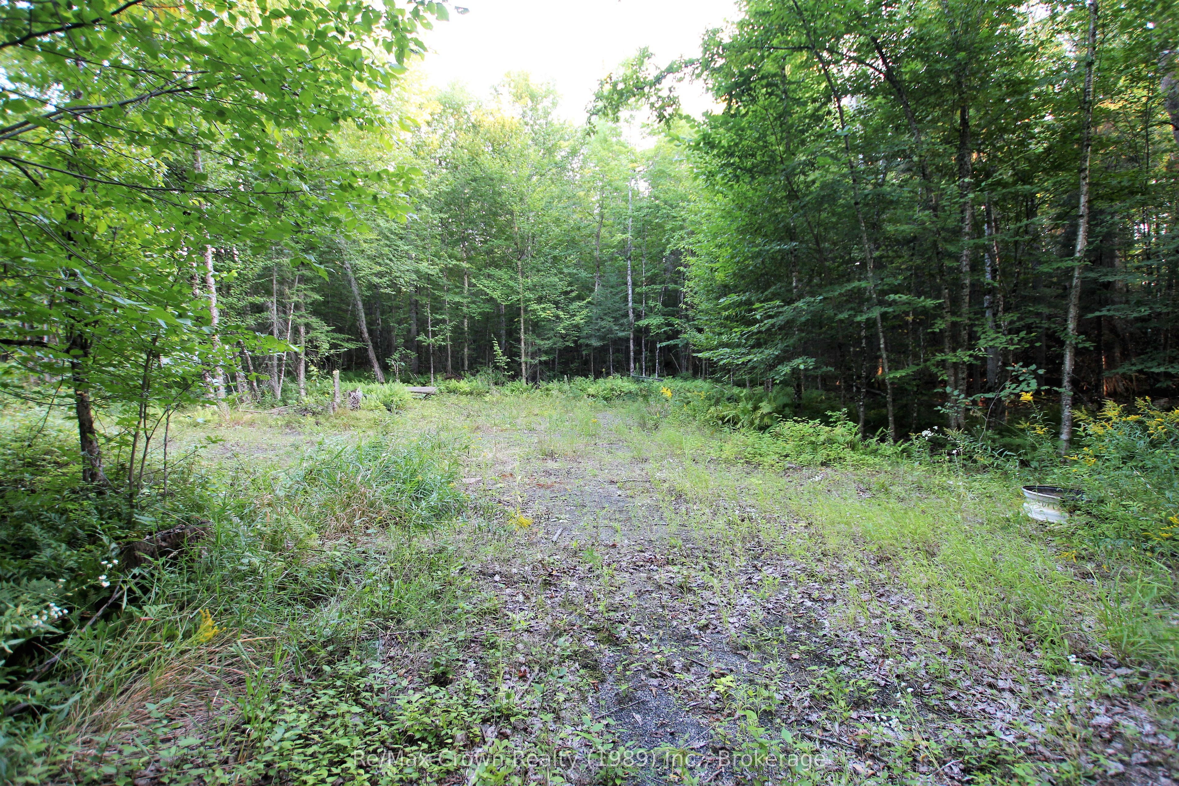 00 Pilgers Road Property Photo 1