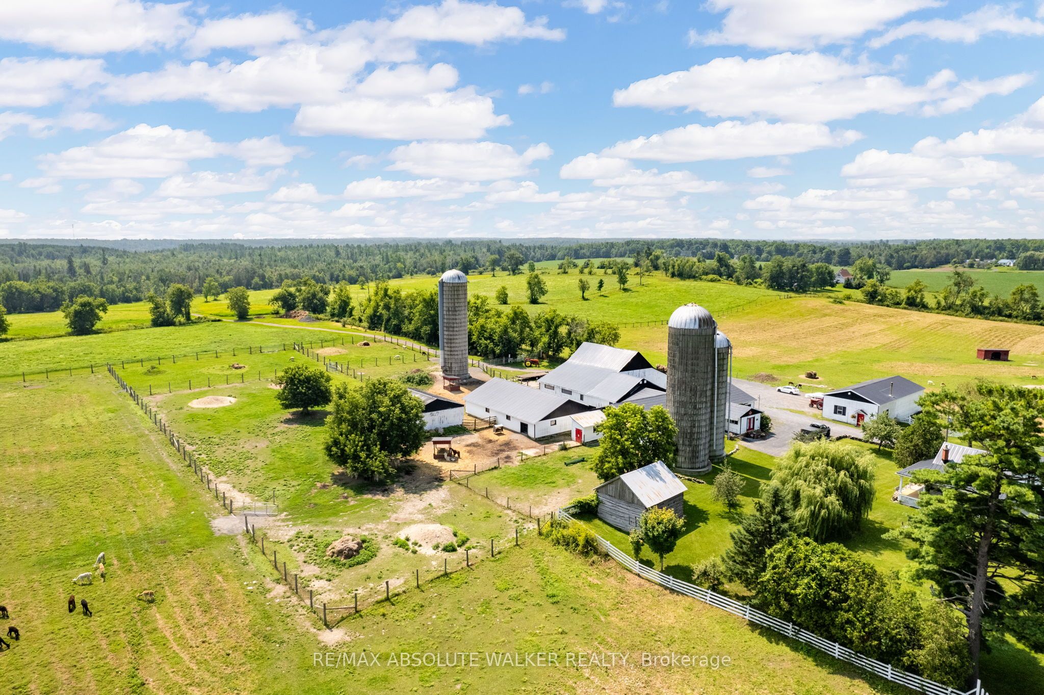 19152 County 25 Road Property Photo 8