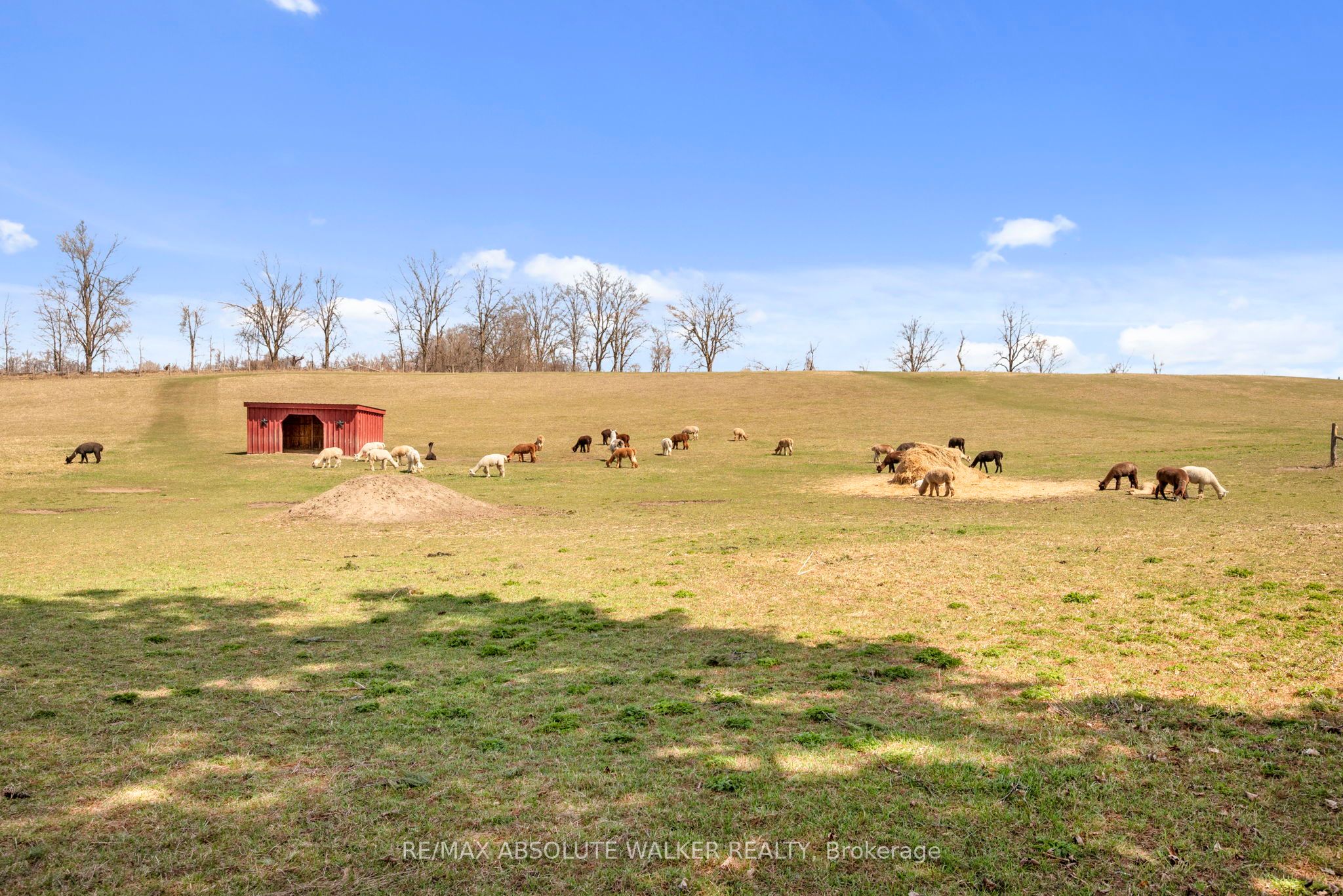 19152 County 25 Road Property Photo 41
