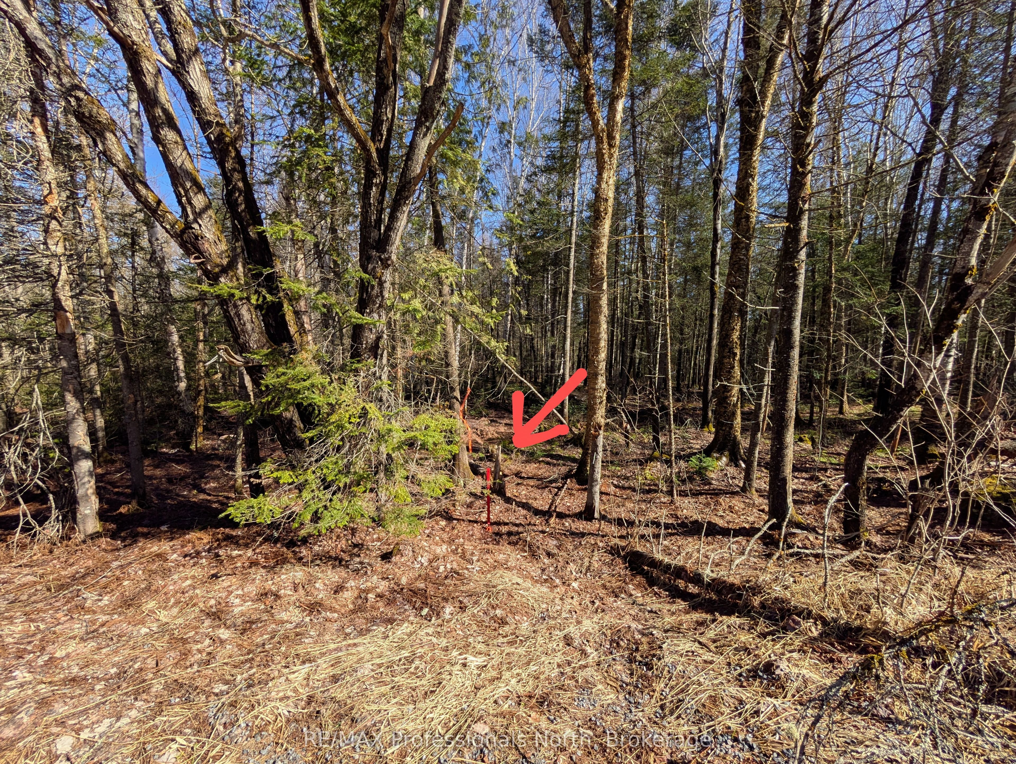 0 Boundary Road Property Photo 10