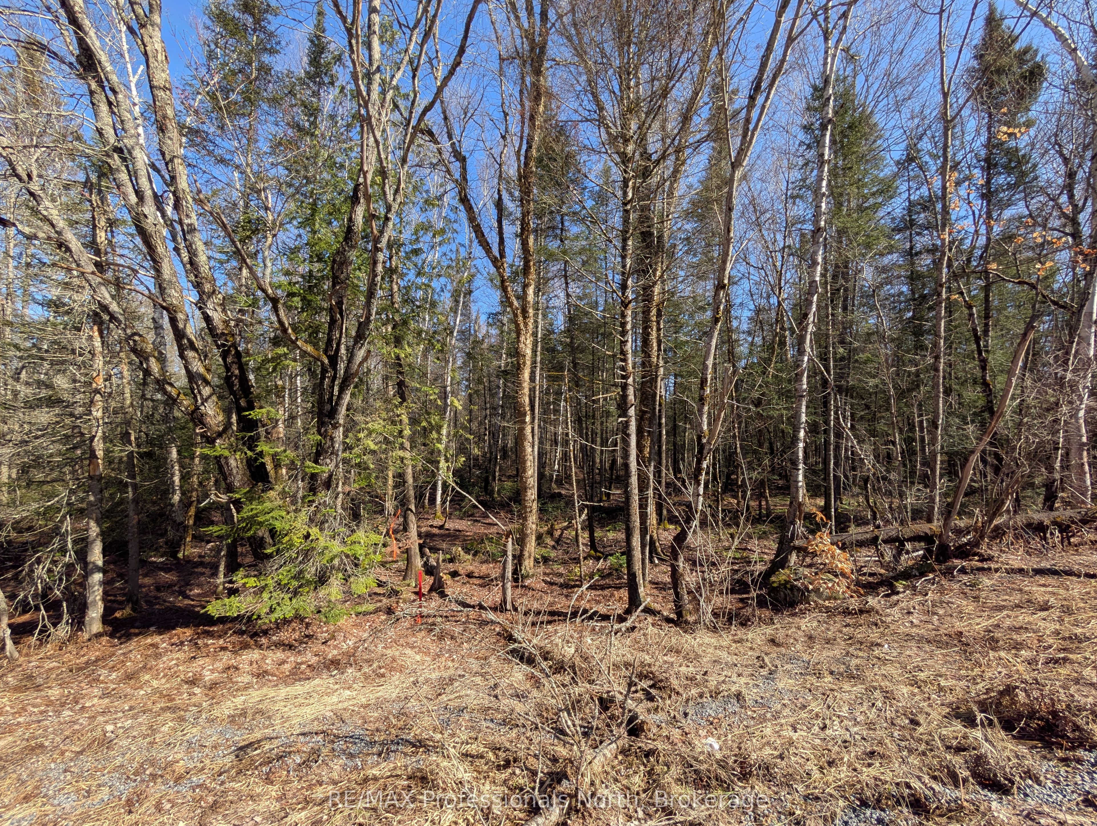 0 Boundary Road Property Photo 11