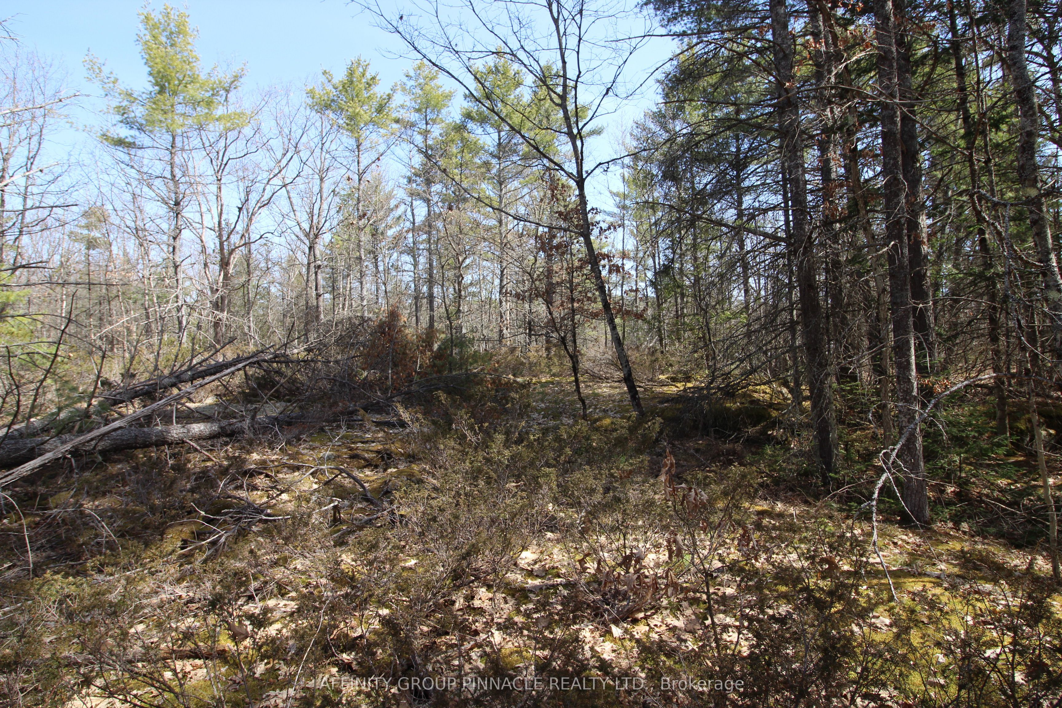 Lot 15 Concession 9 Property Photo 2
