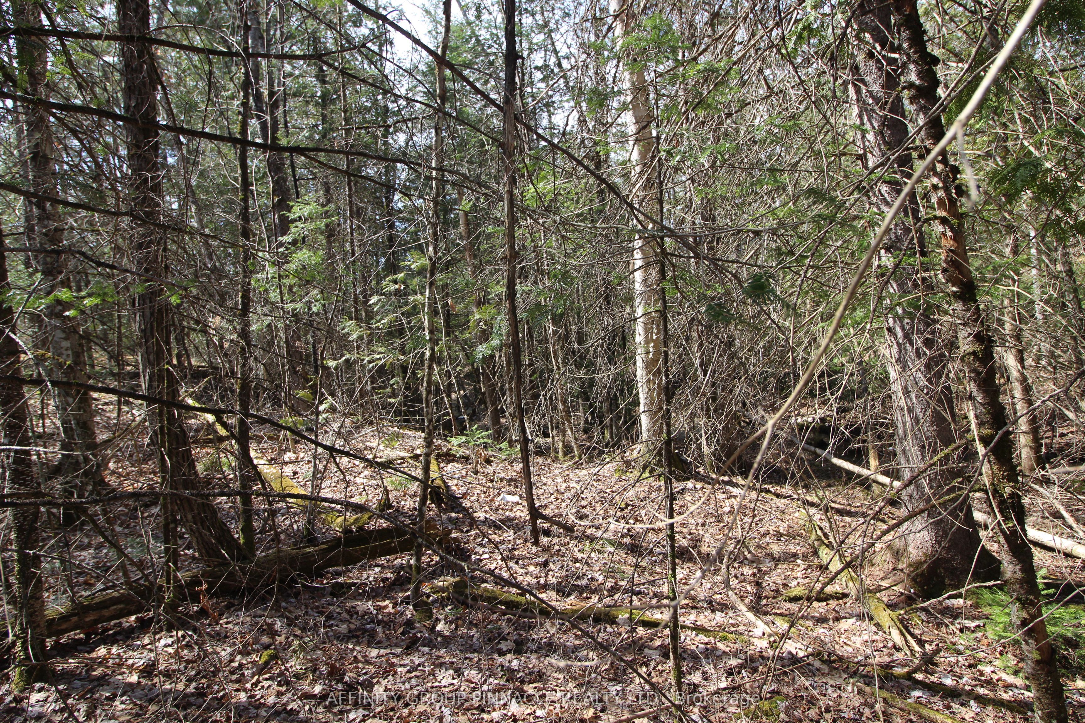 Lot 15 Concession 9 Property Photo 3