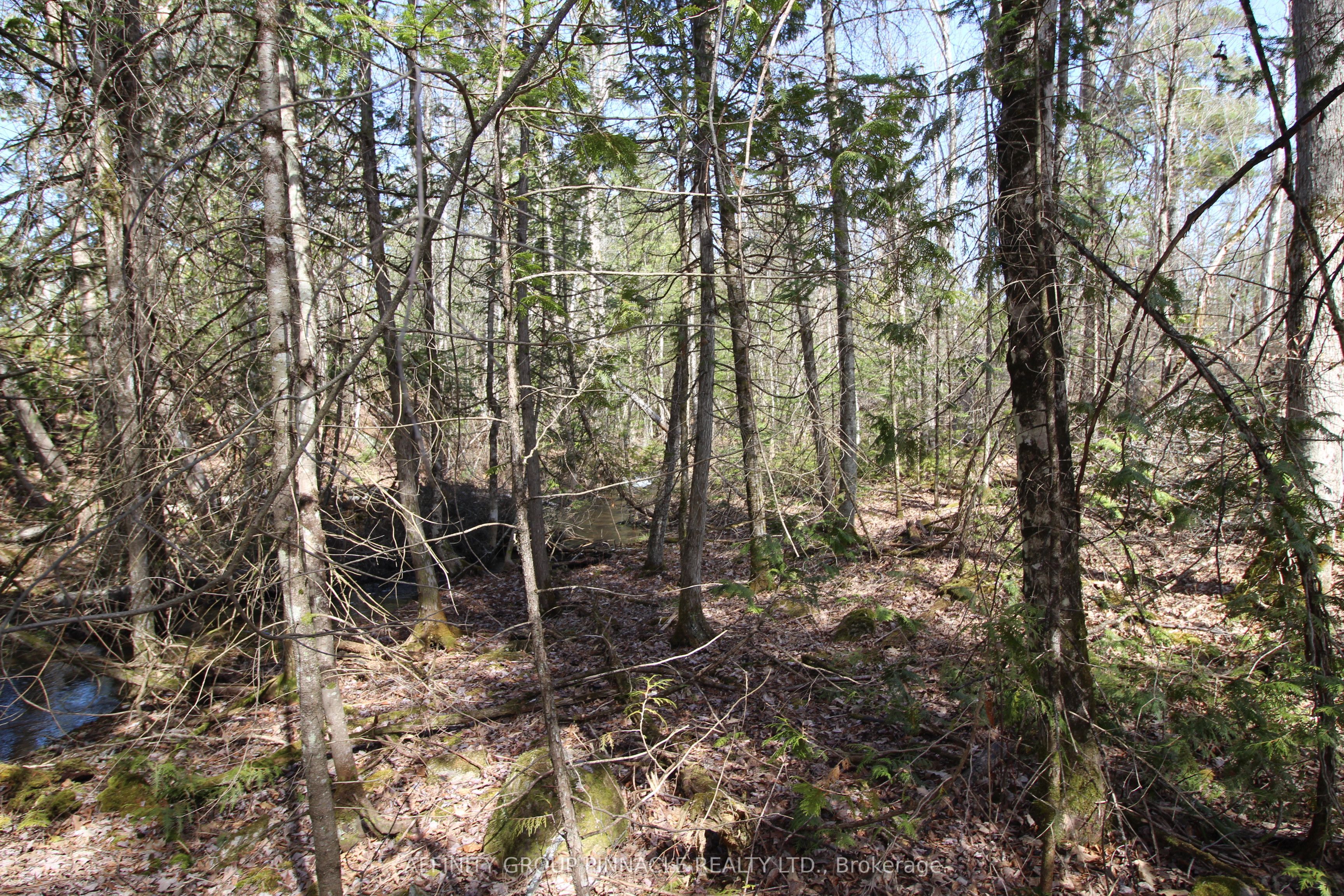 Lot 15 Concession 9 Property Photo 4