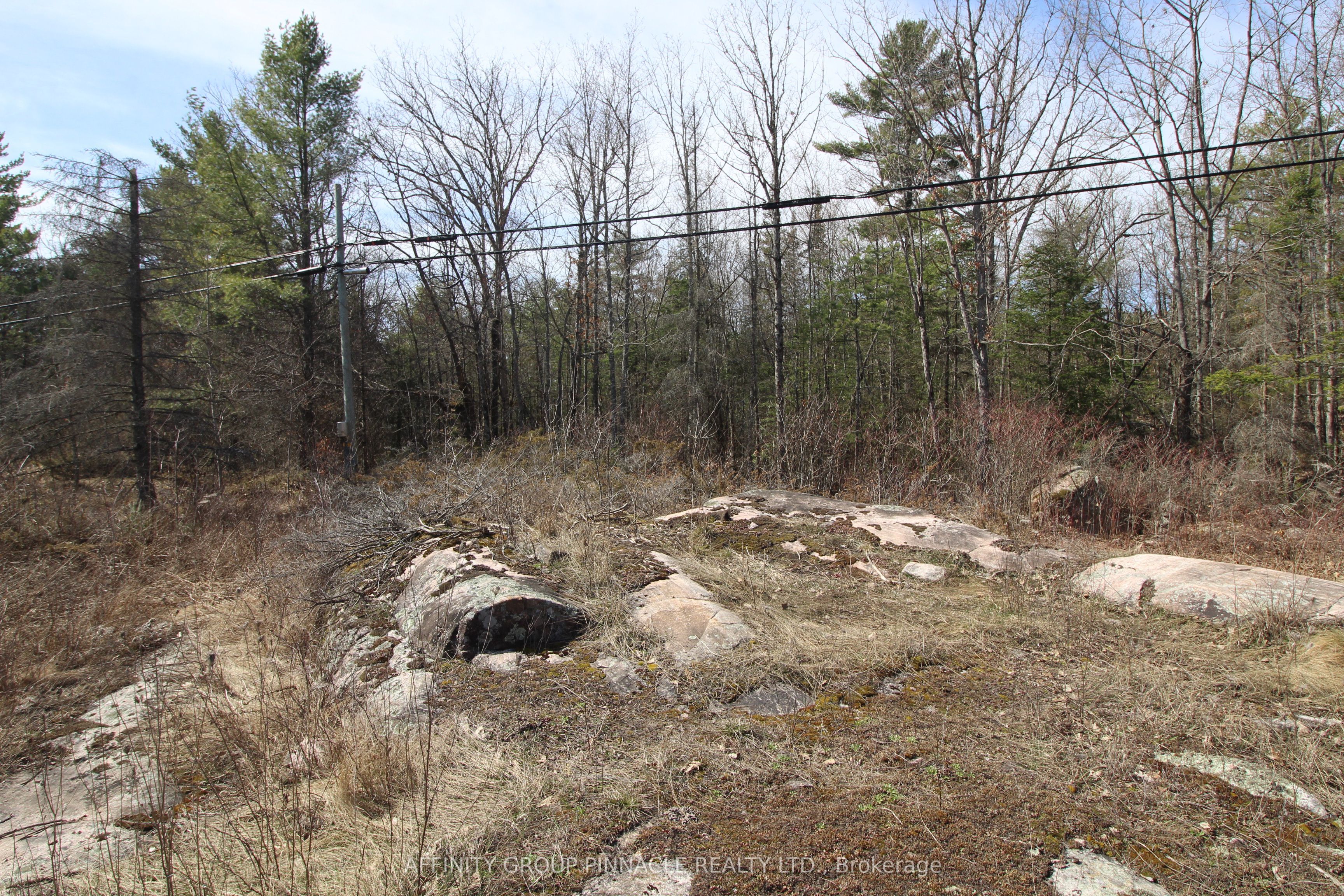 Lot 15 Concession 9 Property Photo 5
