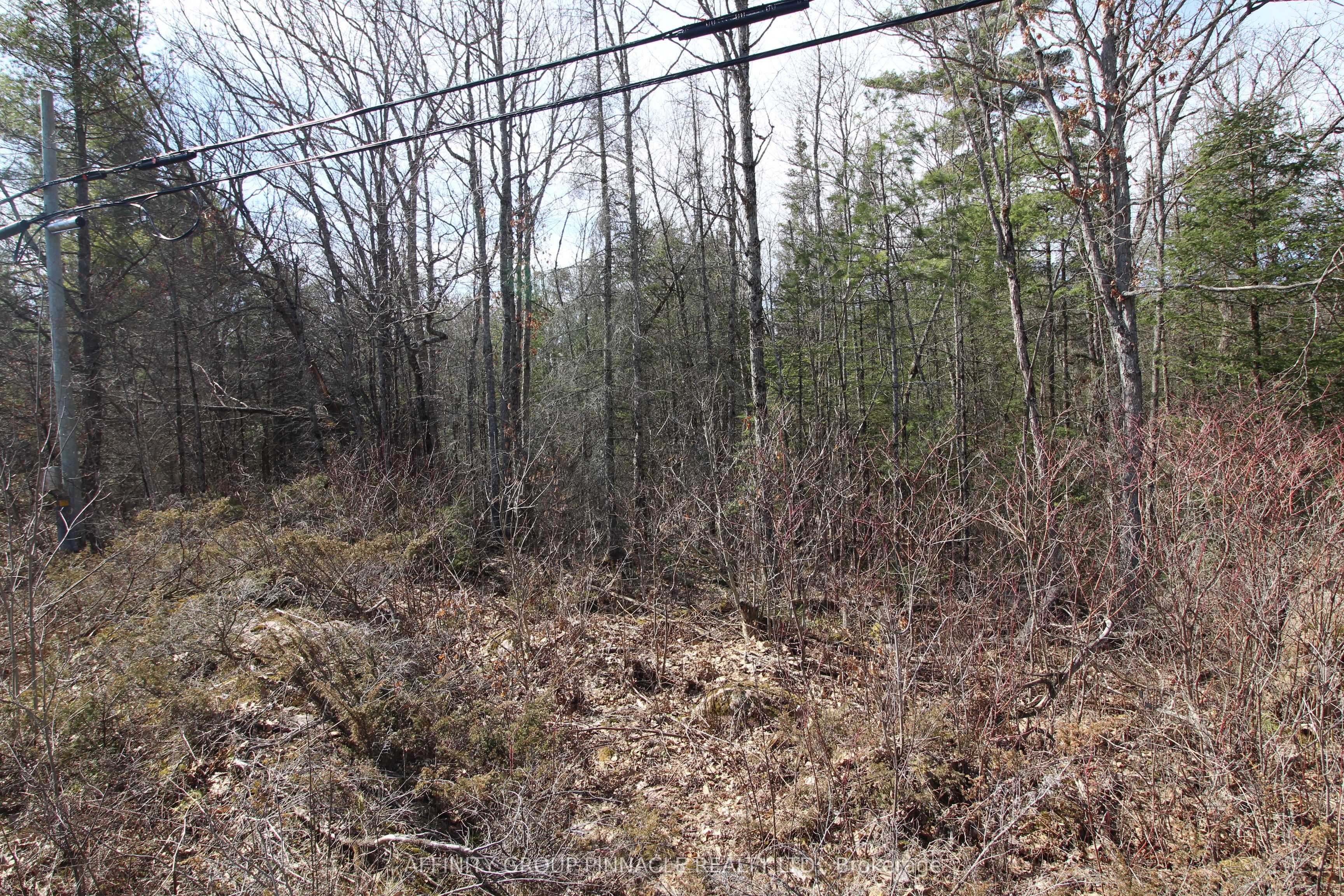 Lot 15 Concession 9 Property Photo 8