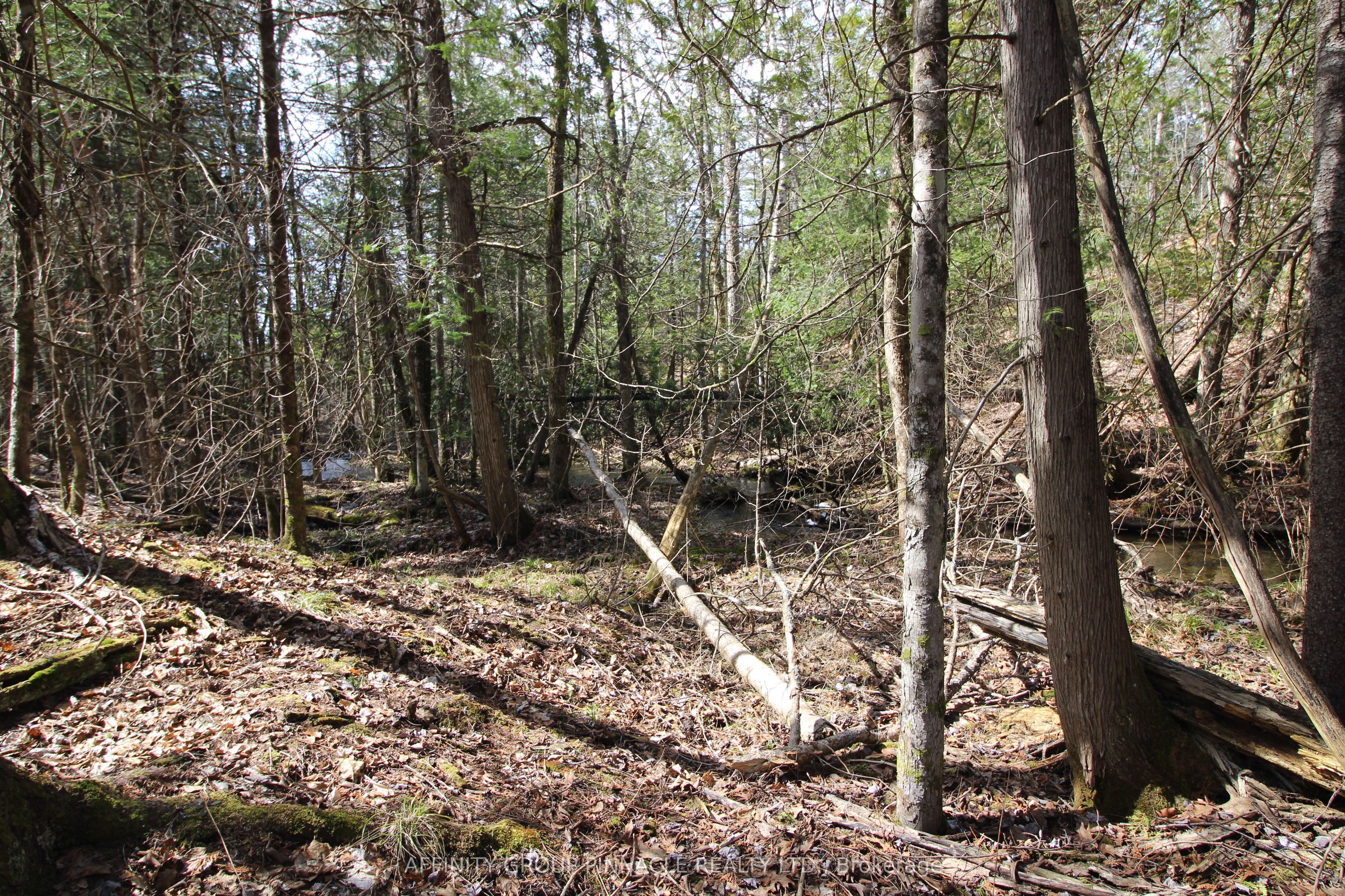 Lot 15 Concession 9 Property Photo 10