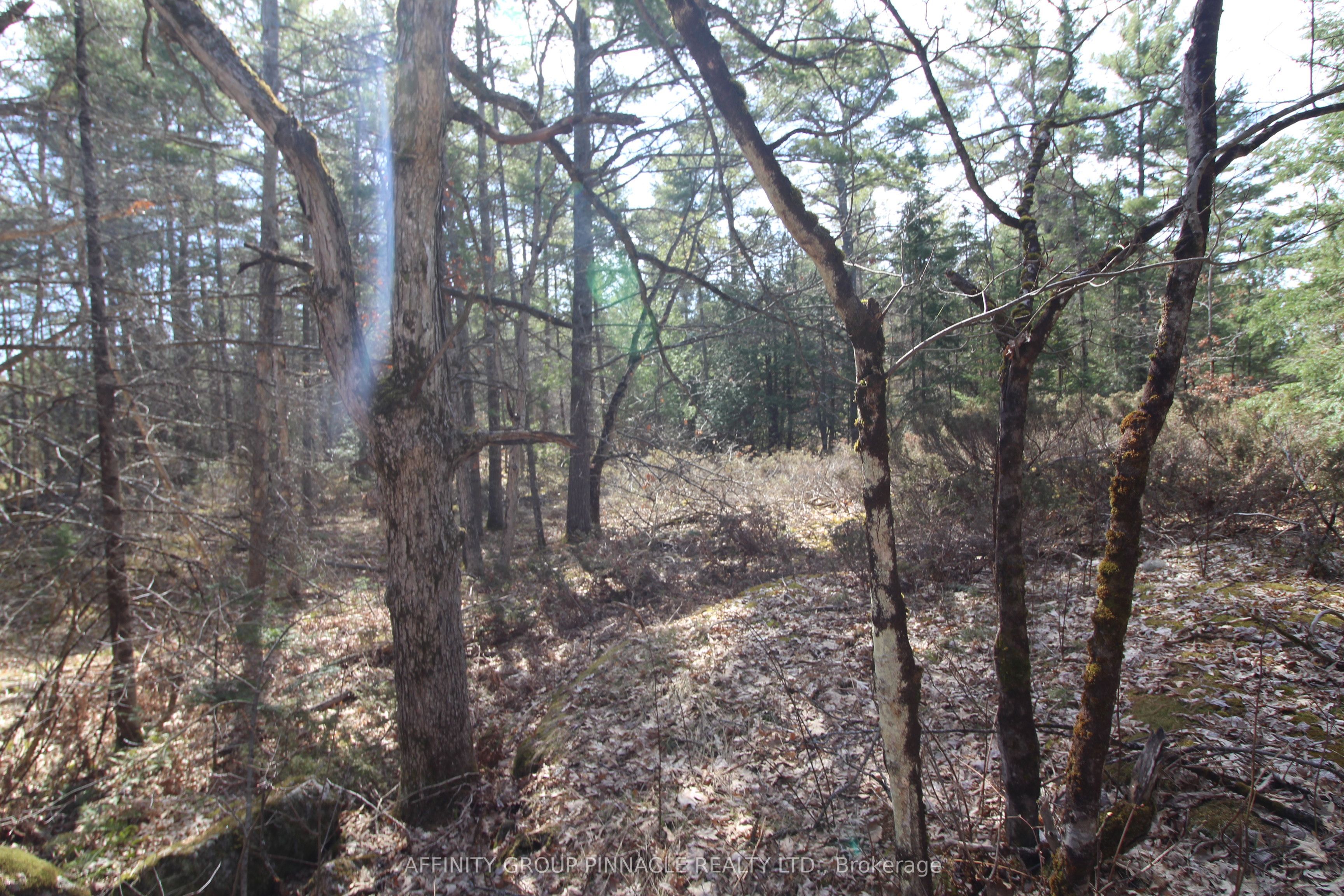 Lot 15 Concession 9 Property Photo 11