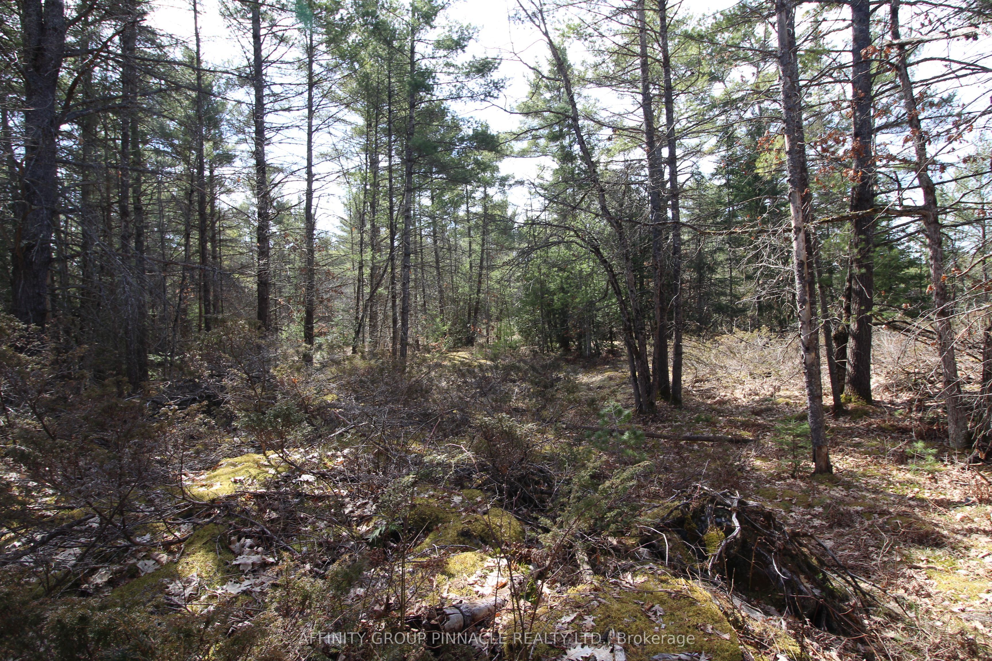 Lot 15 Concession 9 Property Photo 12