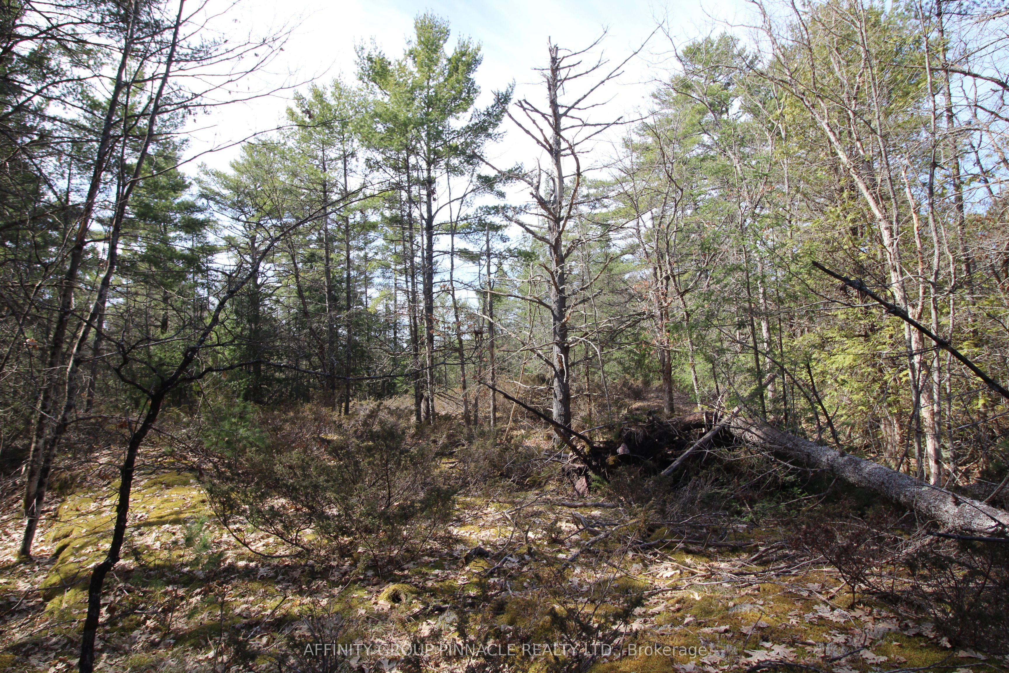 Lot 15 Concession 9 Property Photo 14