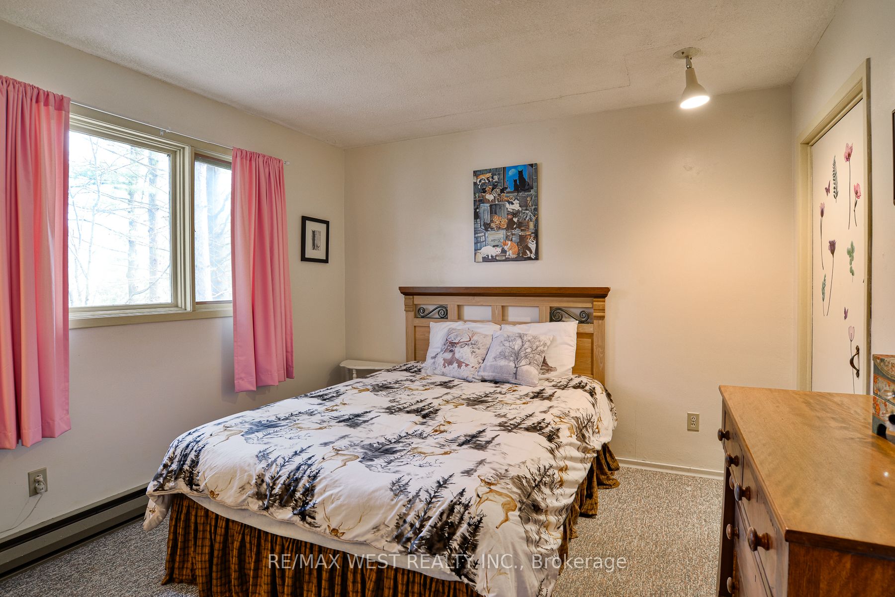 640 David Street Property Photo 10