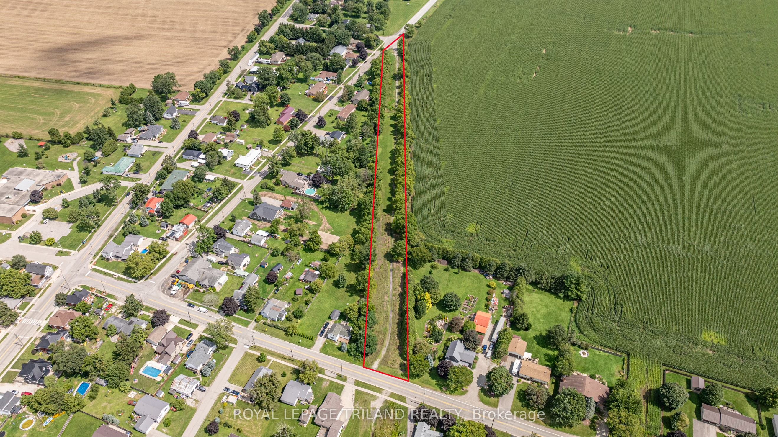11916 Springfield Road Property Photo 4