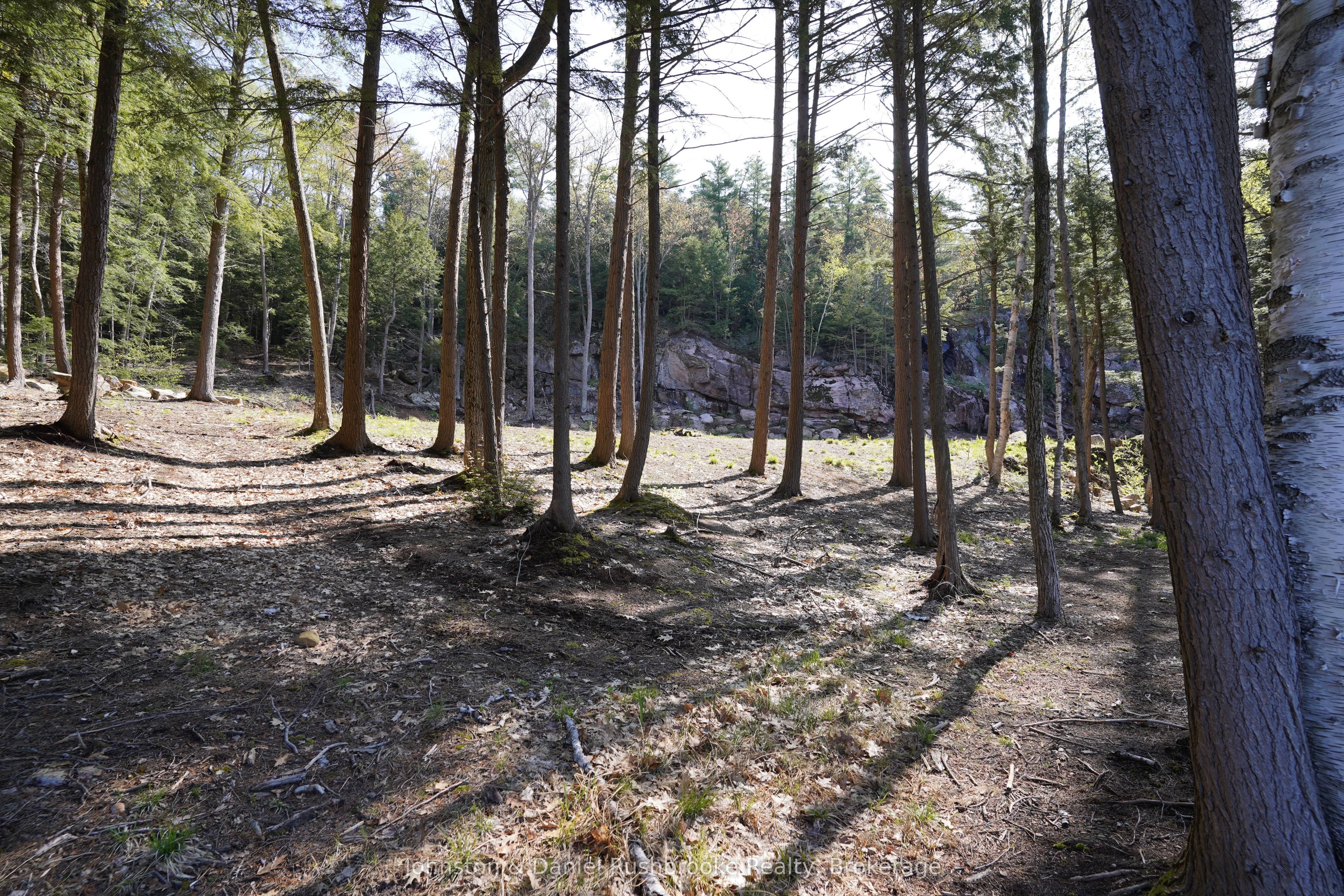 98a Maile Run Property Photo 12