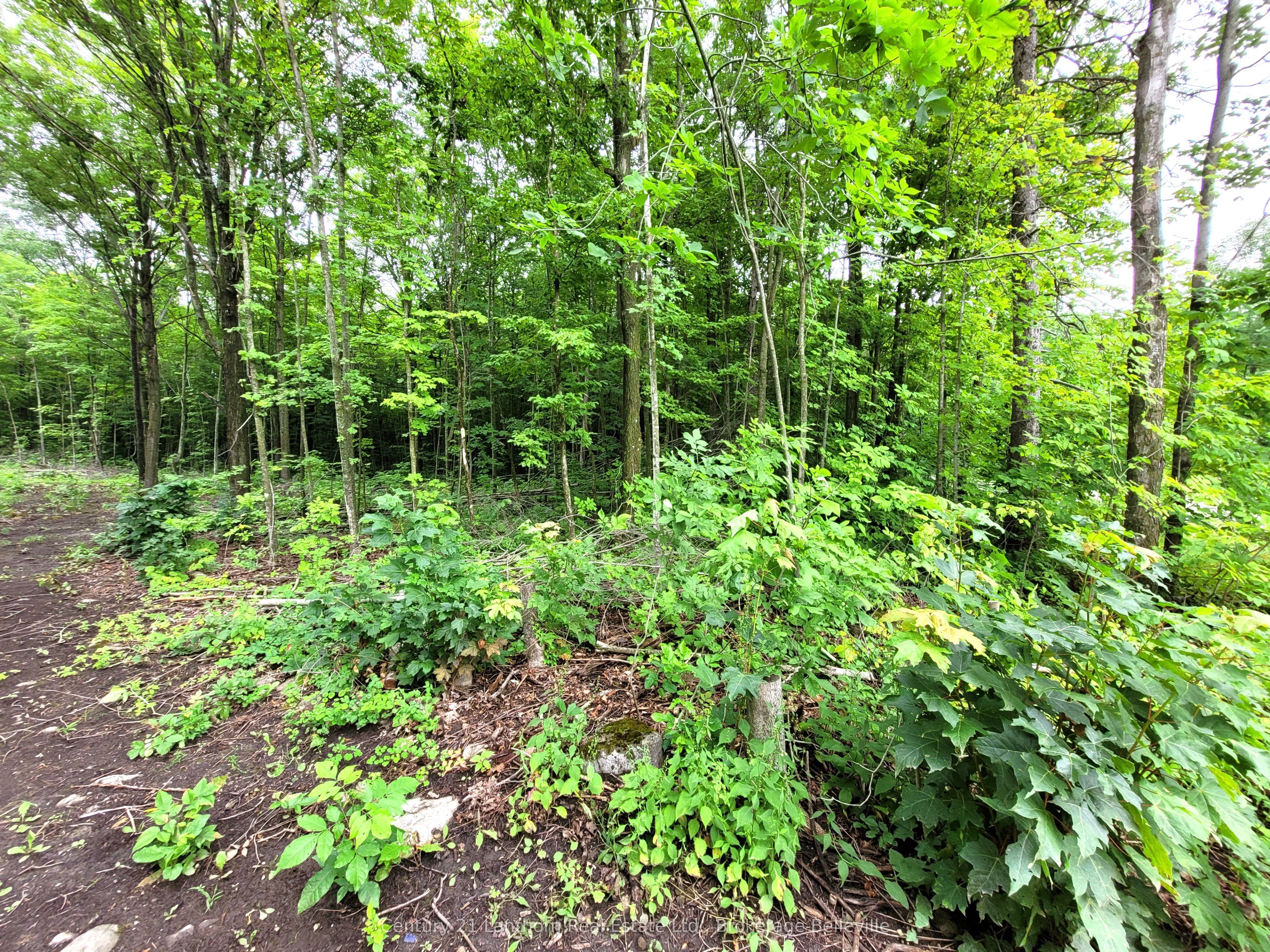 0 Spry Road Property Photo 13