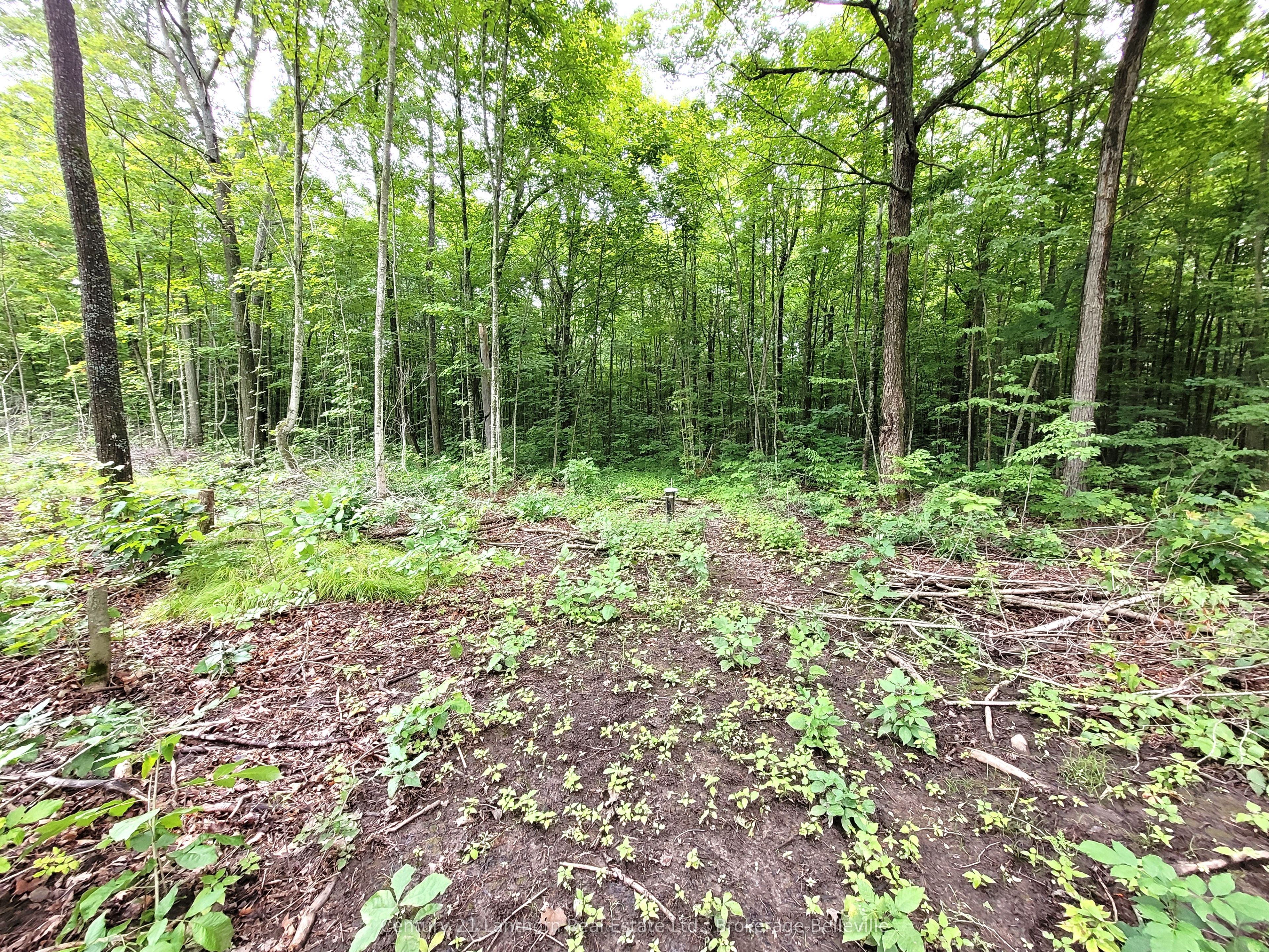 0 Spry Road Property Photo 18