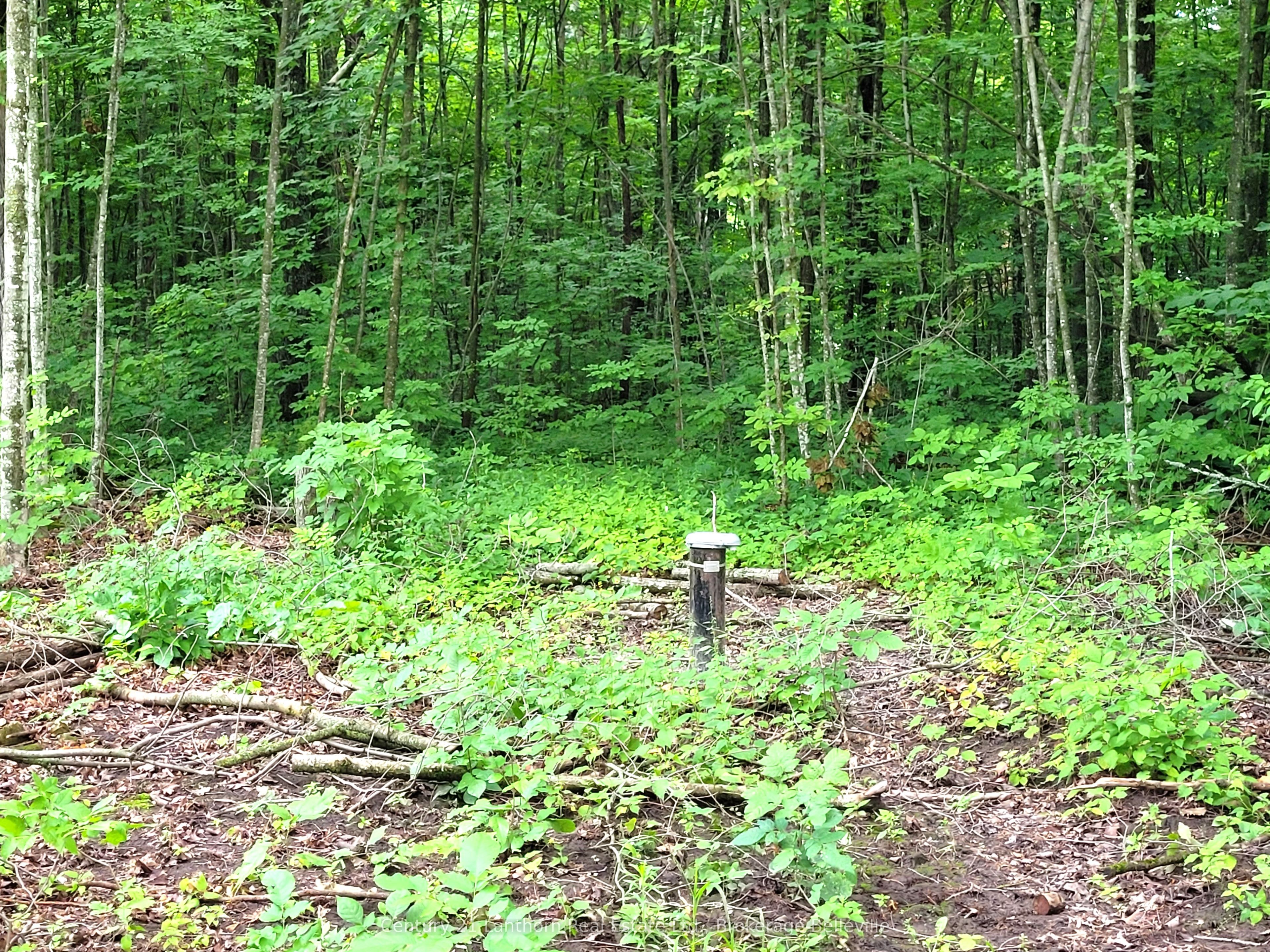 0 Spry Road Property Photo 20