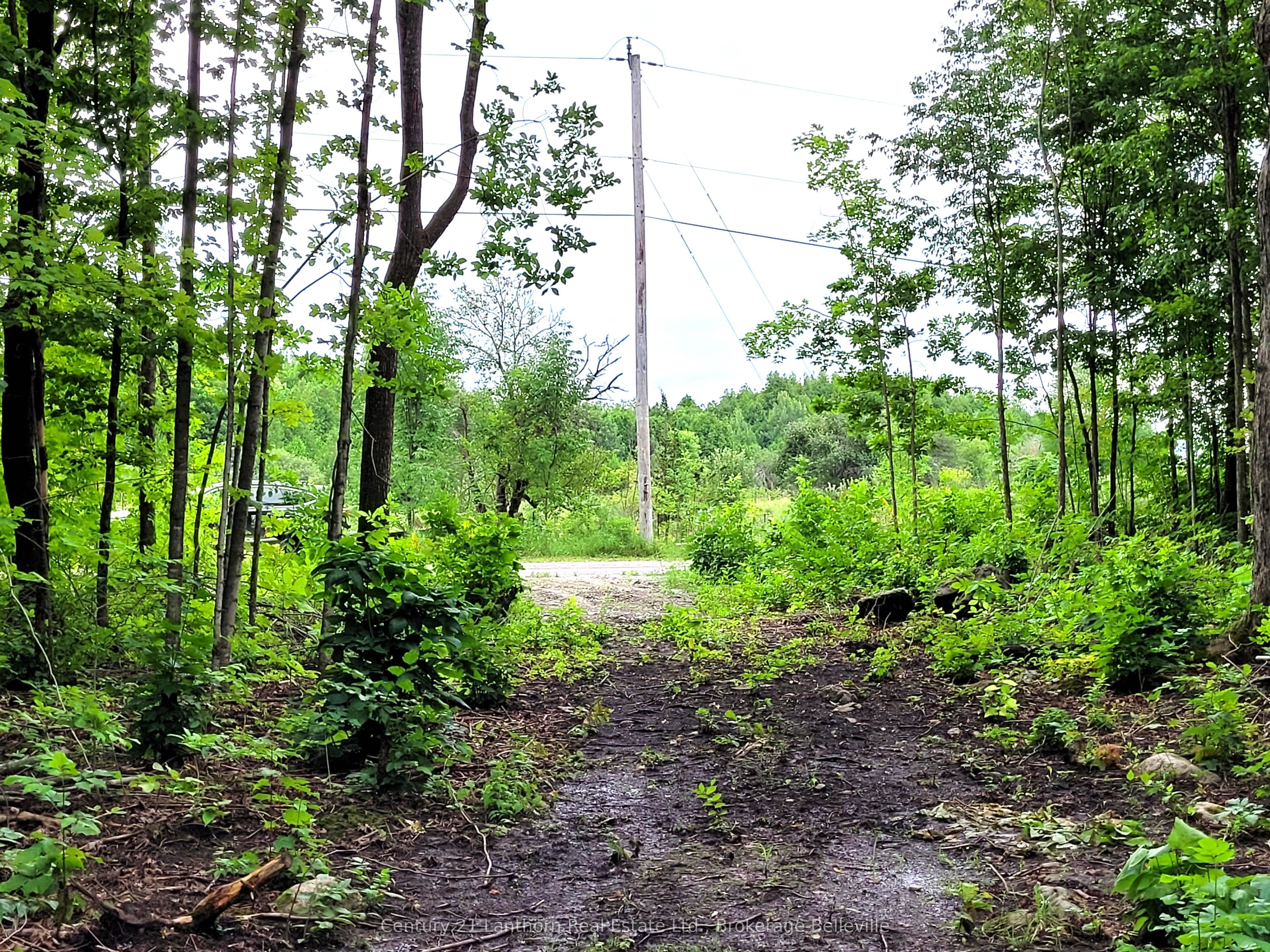 0 Spry Road Property Photo 21