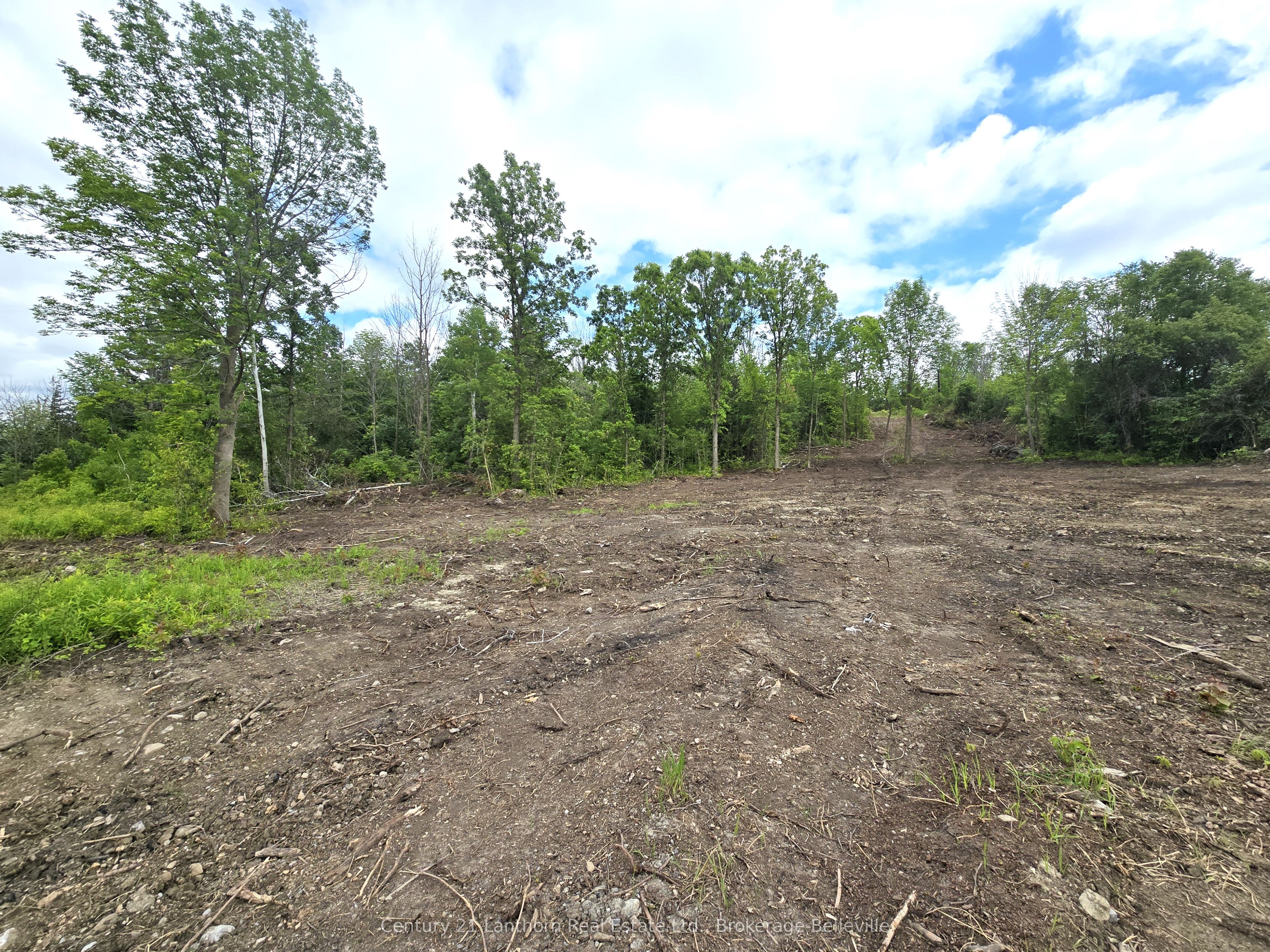 0 Devils Valley Road Property Photo 3