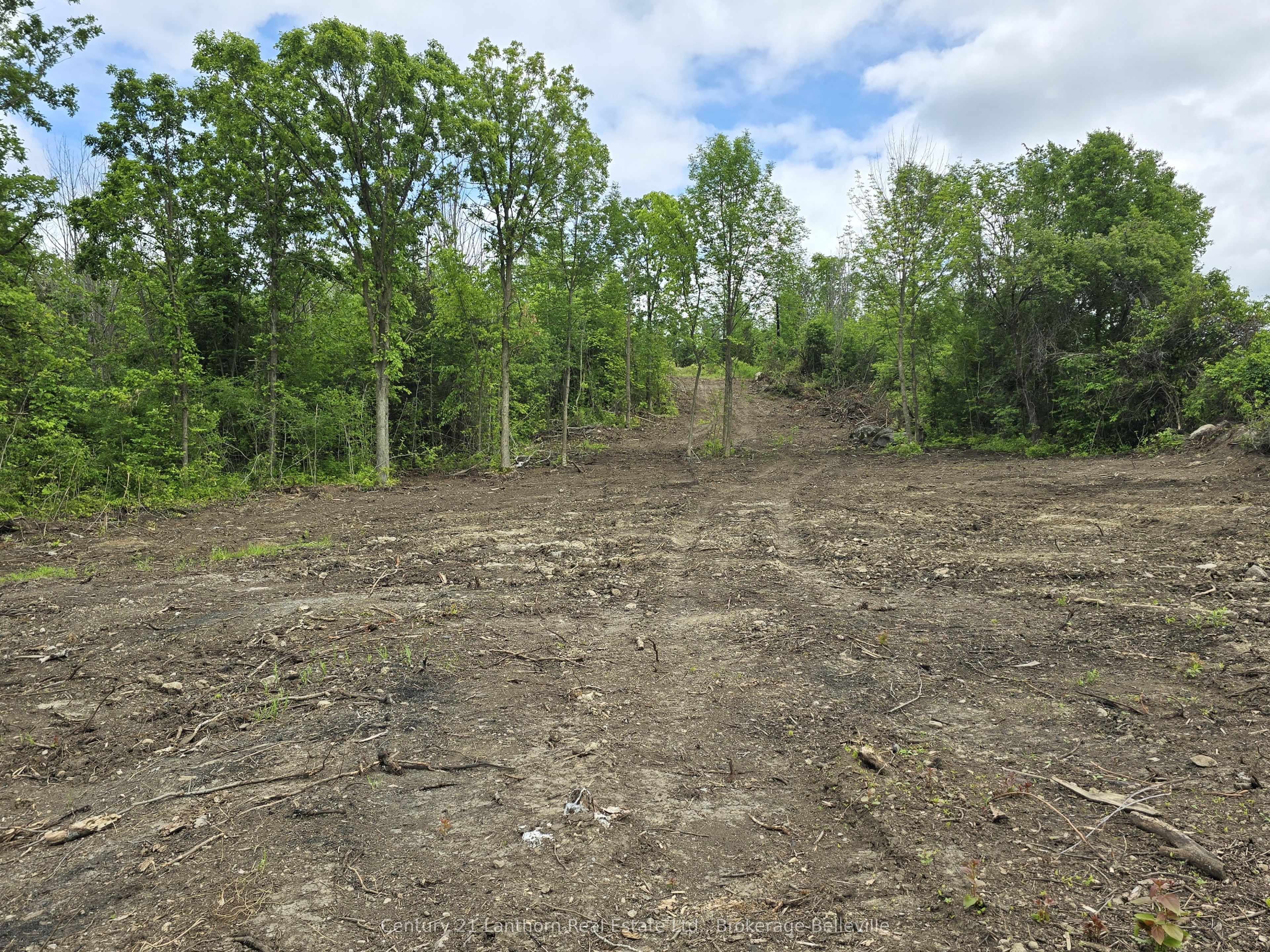 0 Devils Valley Road Property Photo 6