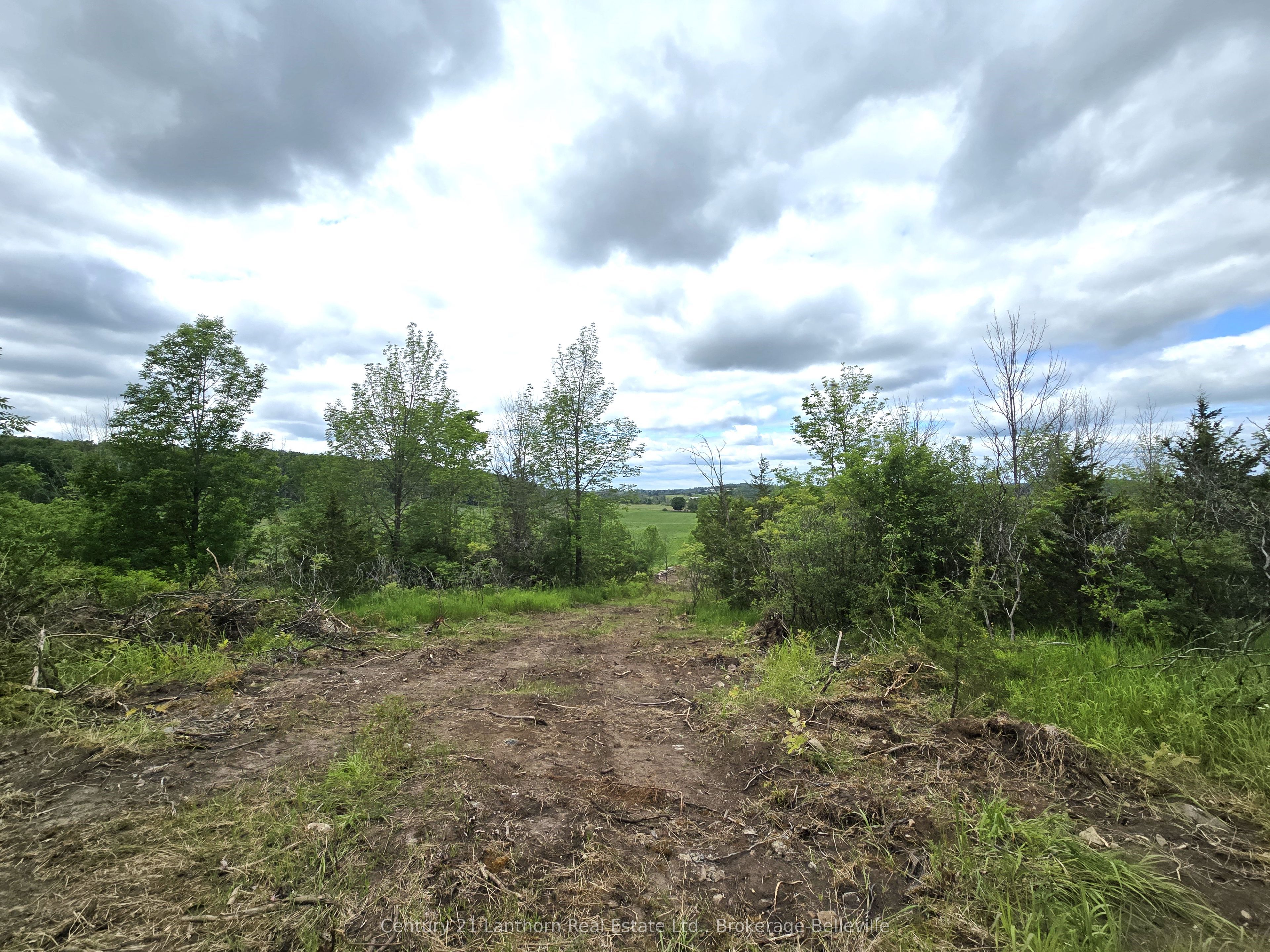 0 Devils Valley Road Property Photo 9