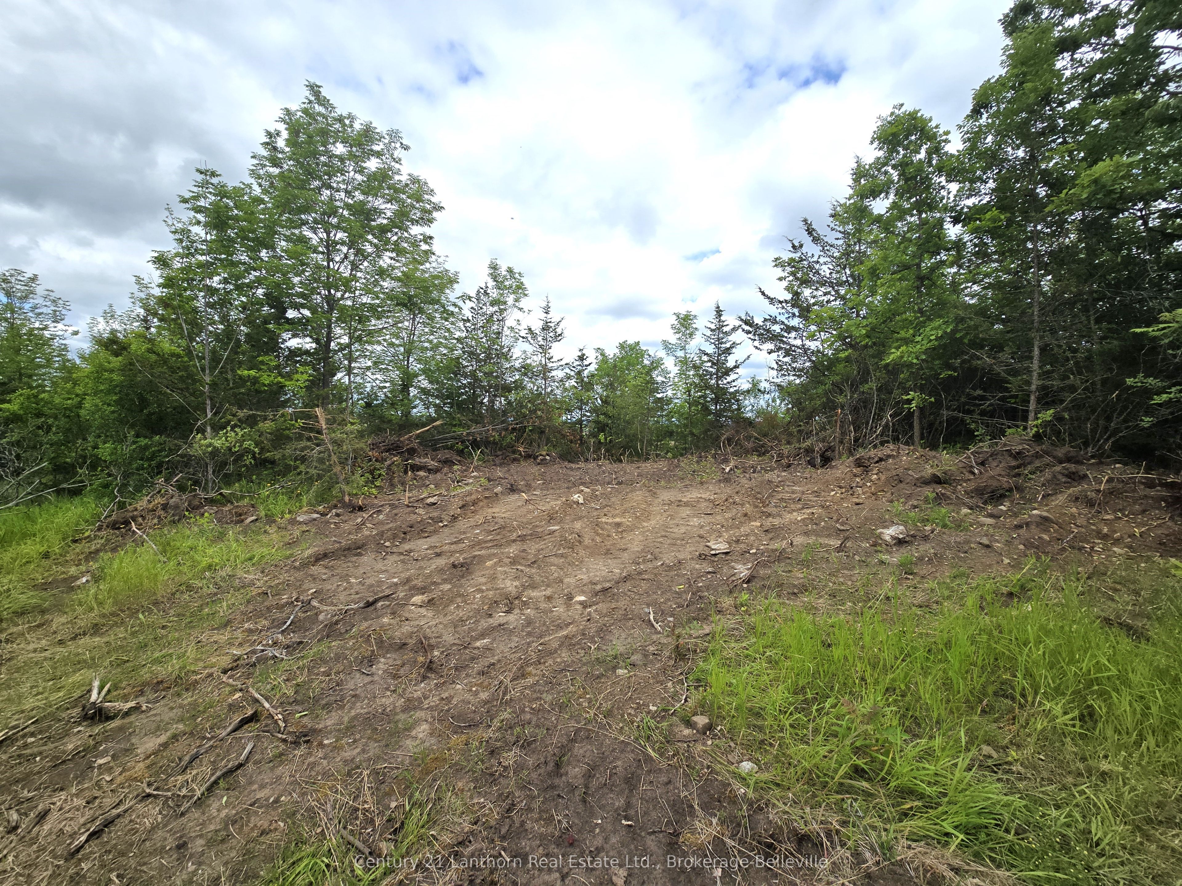 0 Devils Valley Road Property Photo 10