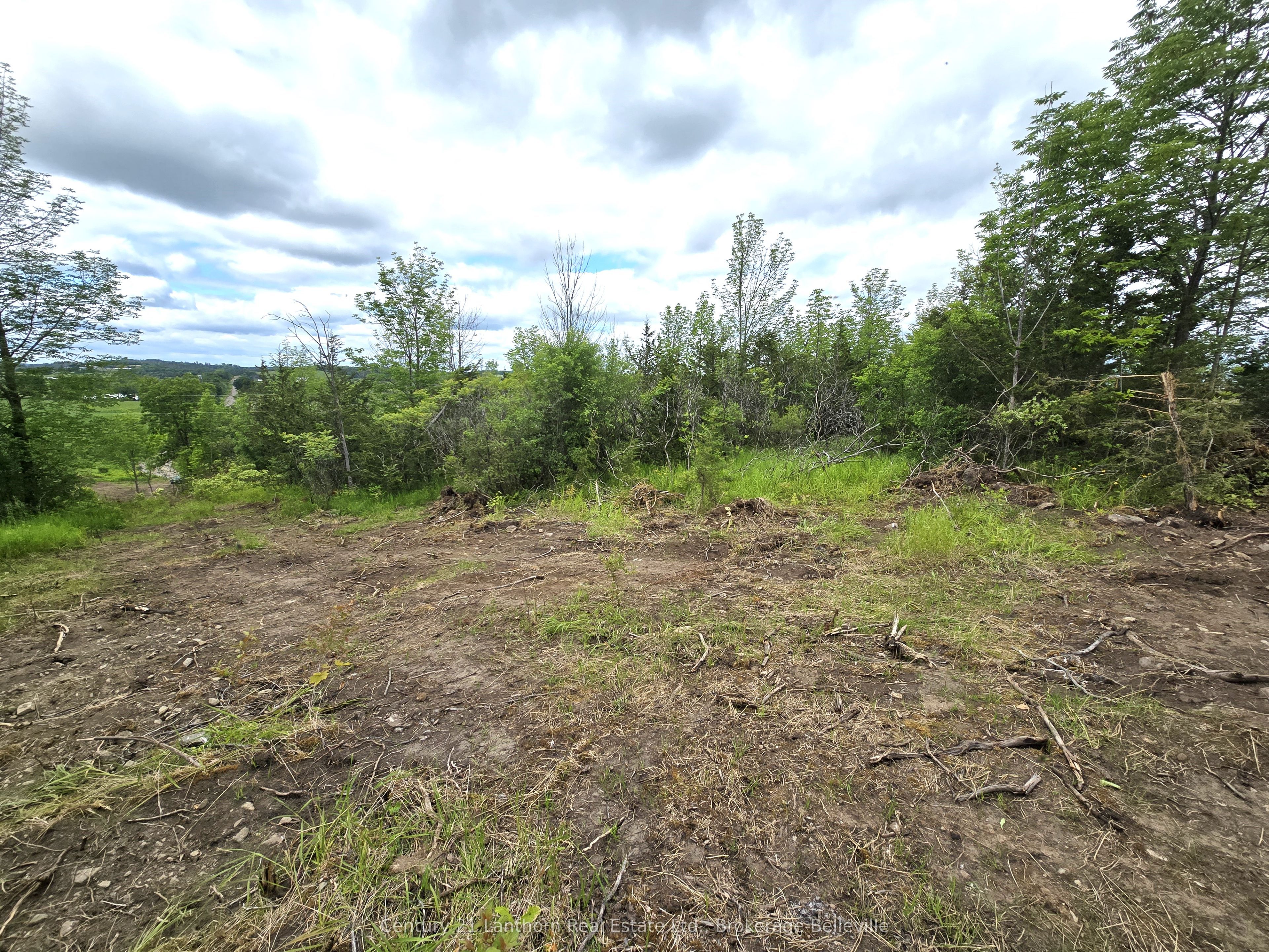 0 Devils Valley Road Property Photo 11