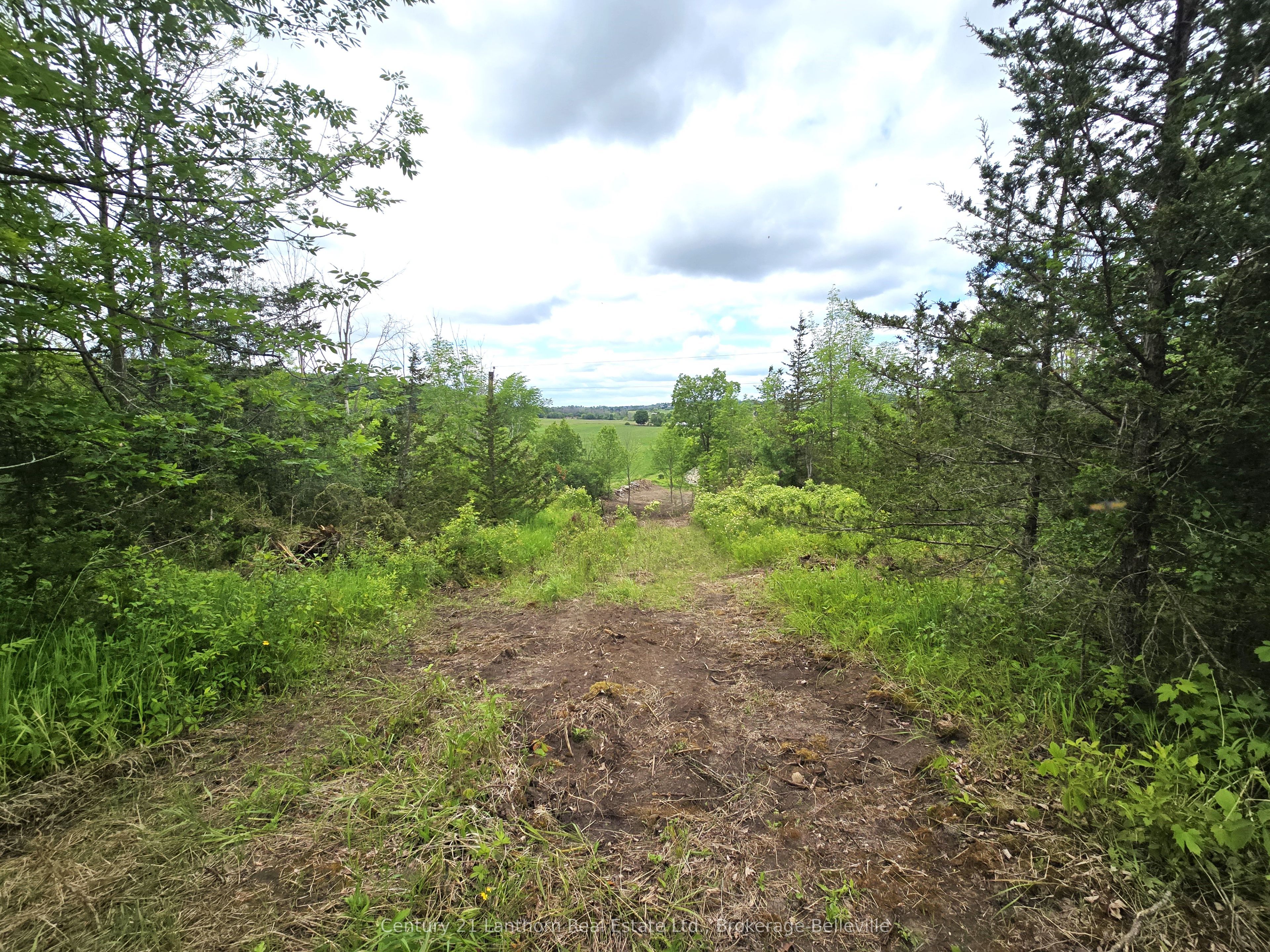 0 Devils Valley Road Property Photo 12