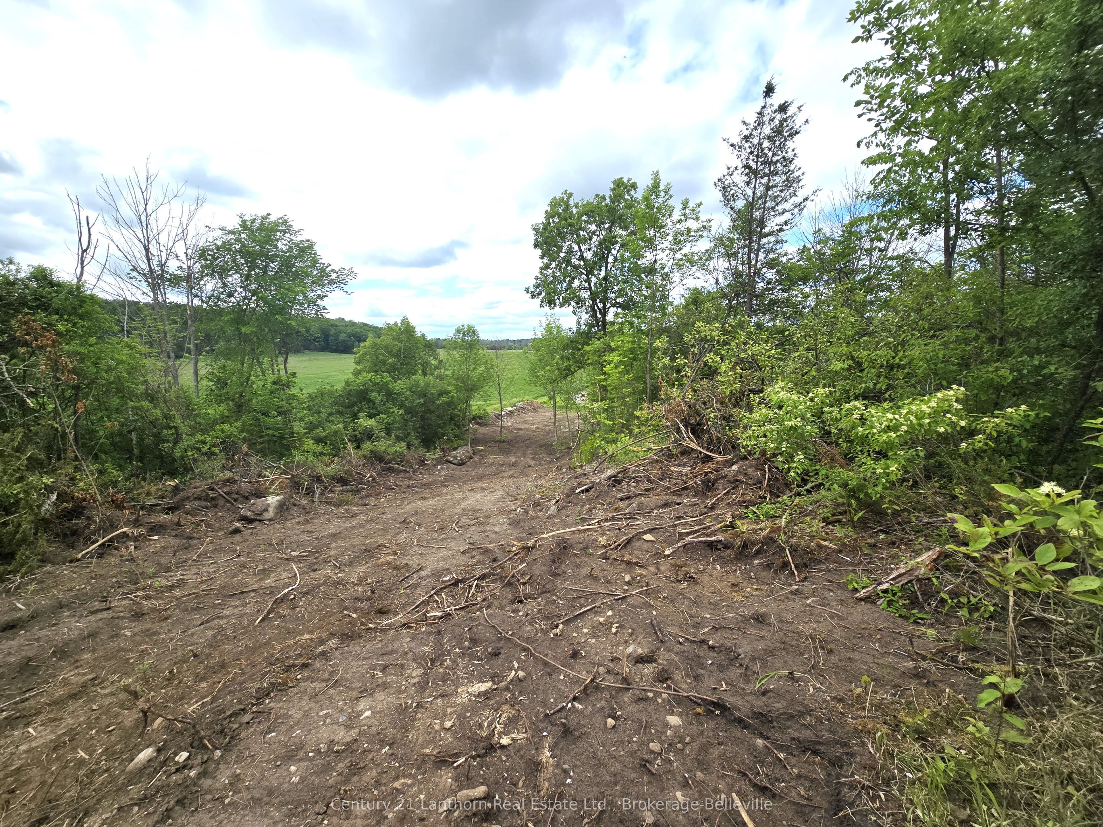 0 Devils Valley Road Property Photo 13